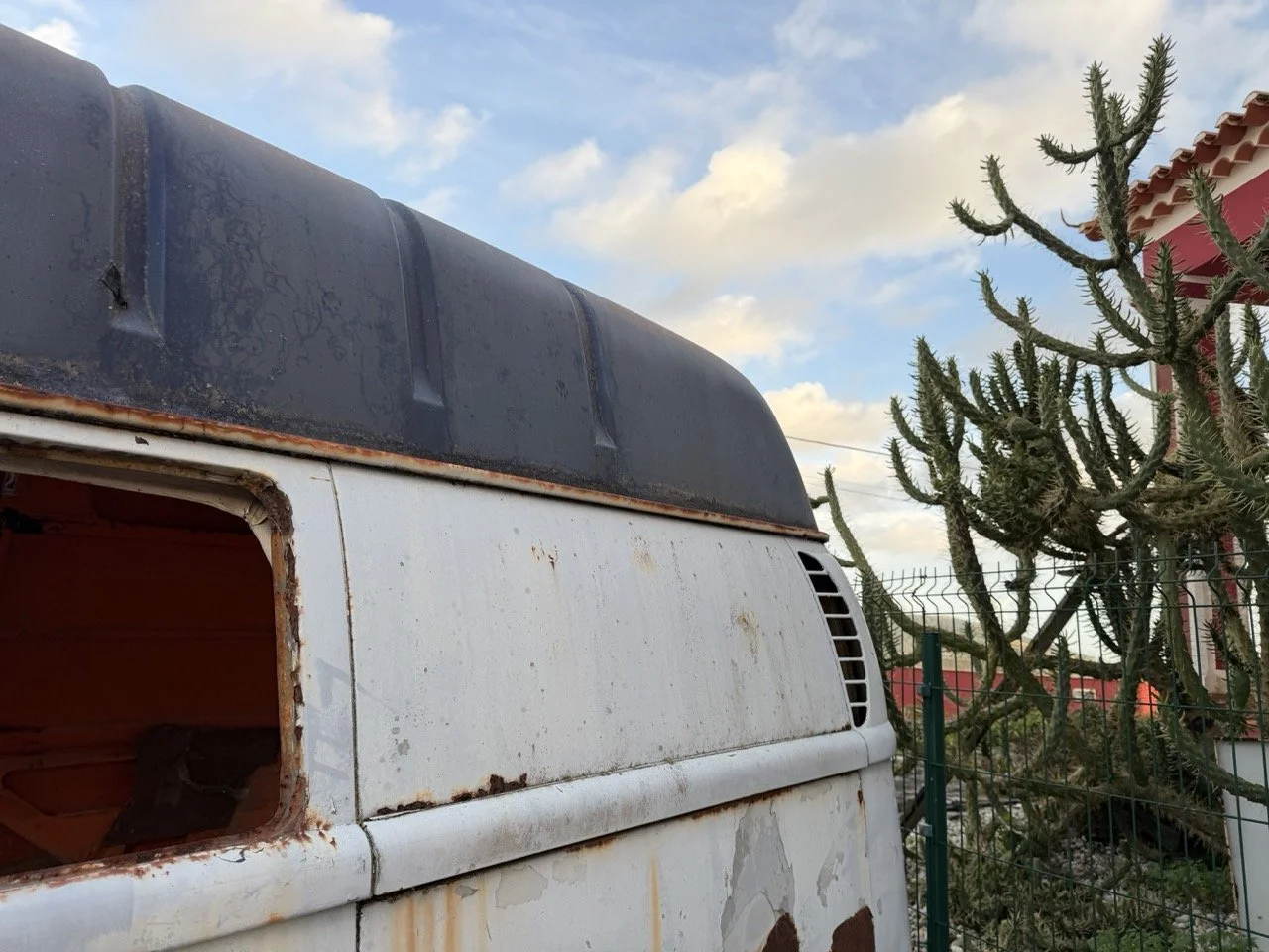 IMG_0837 – grande.jpeg