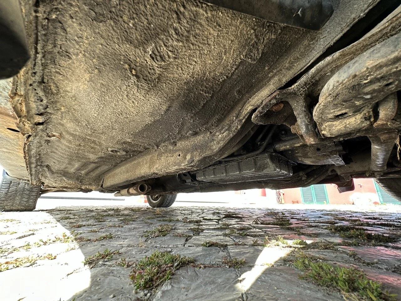 IMG_7257 – grande.jpeg