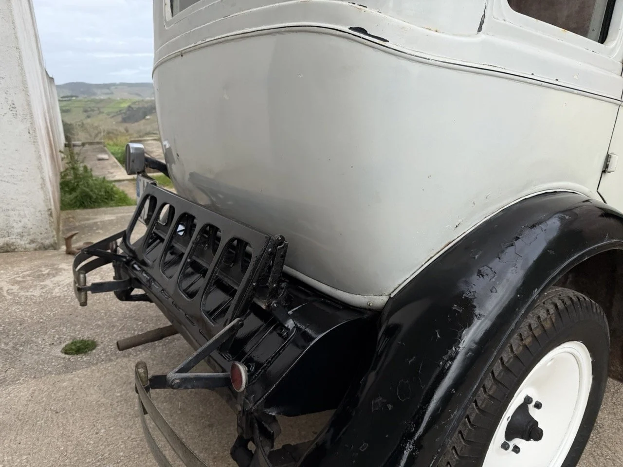 IMG_1651 – grande.jpeg