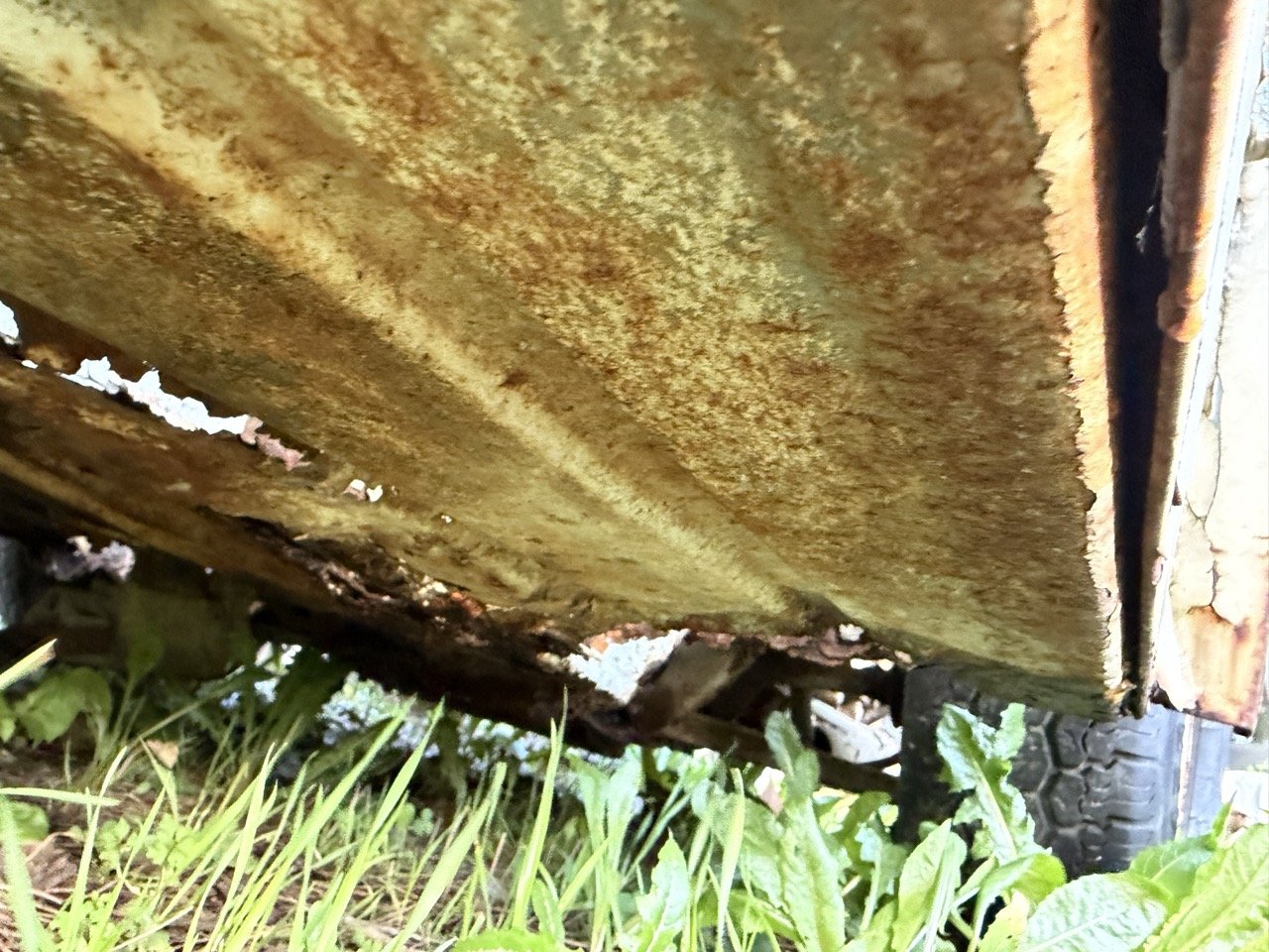 IMG_0909 – grande.jpeg