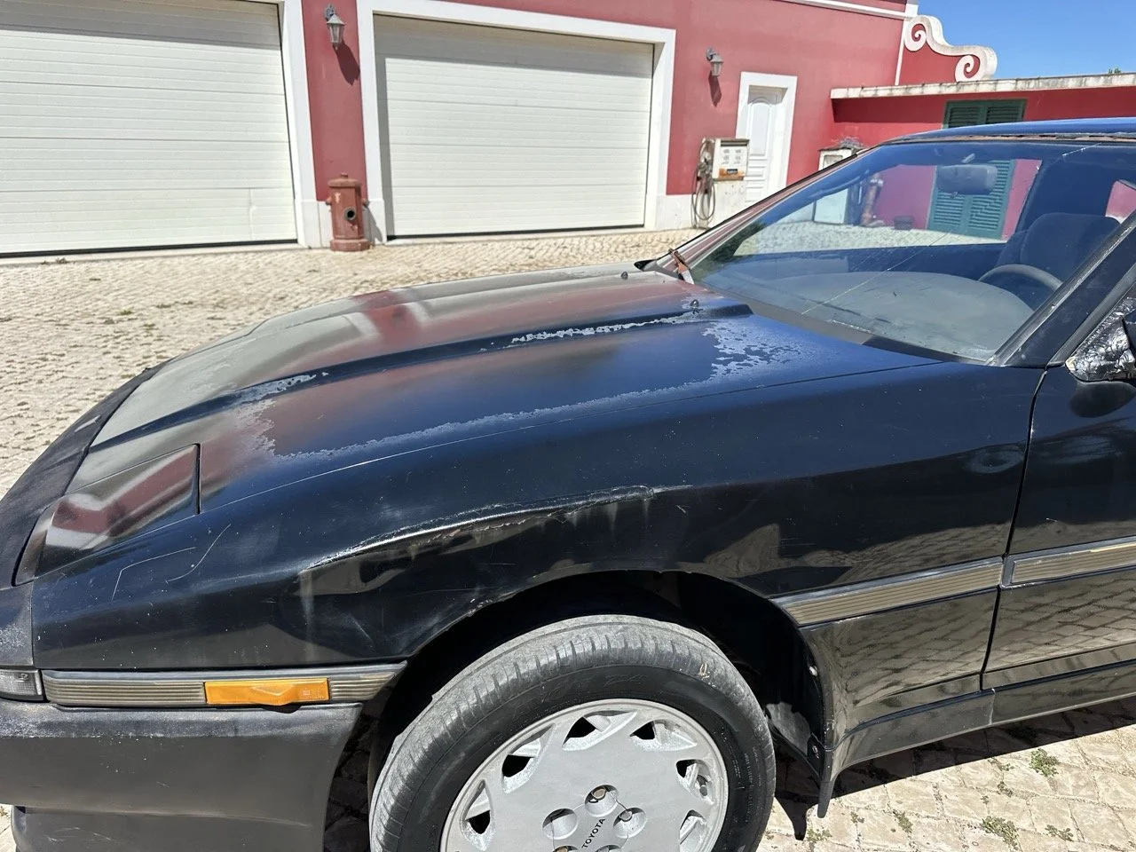 IMG_3174 – grande.jpeg