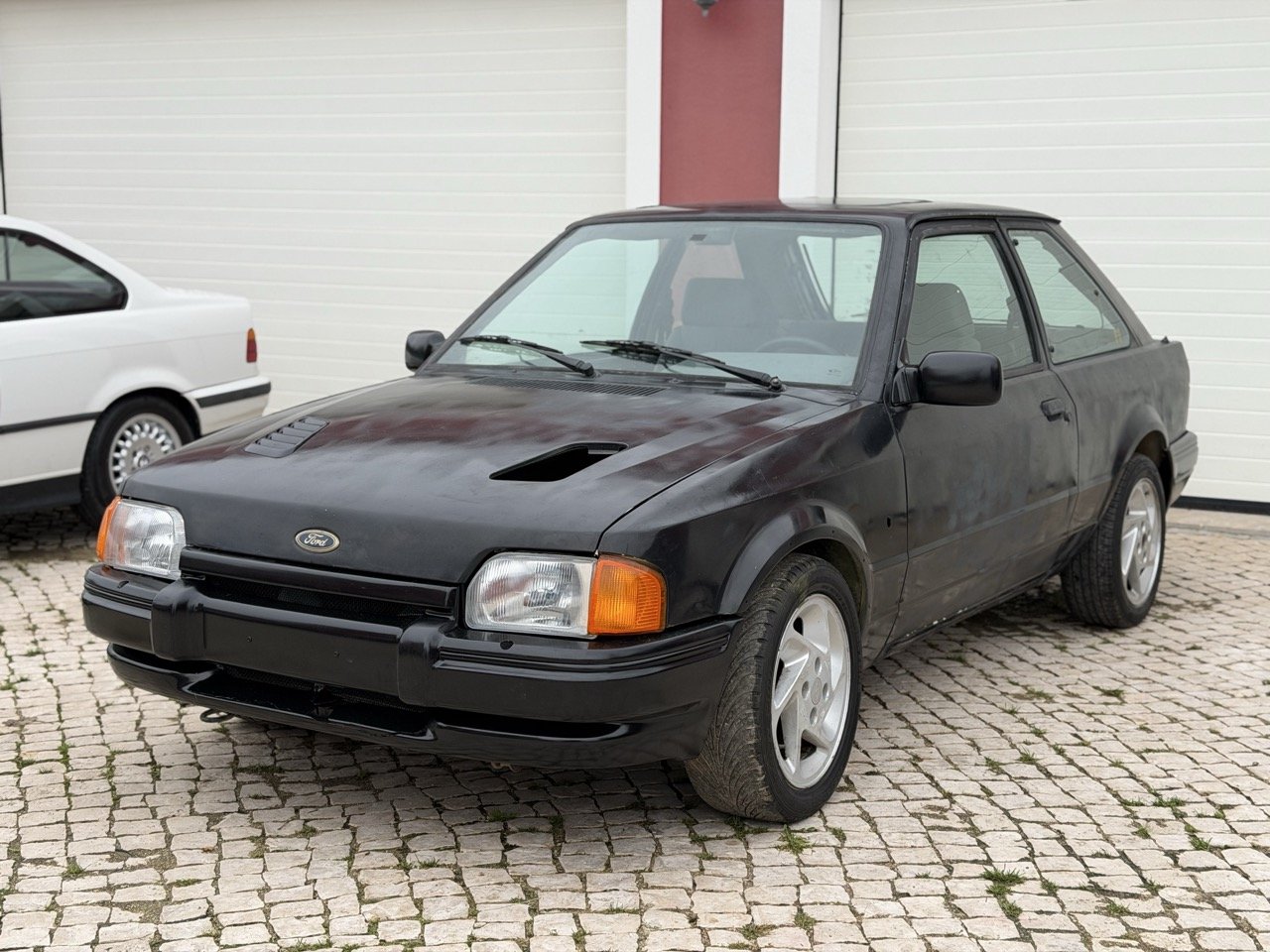 IMG_1254 – grande.jpeg