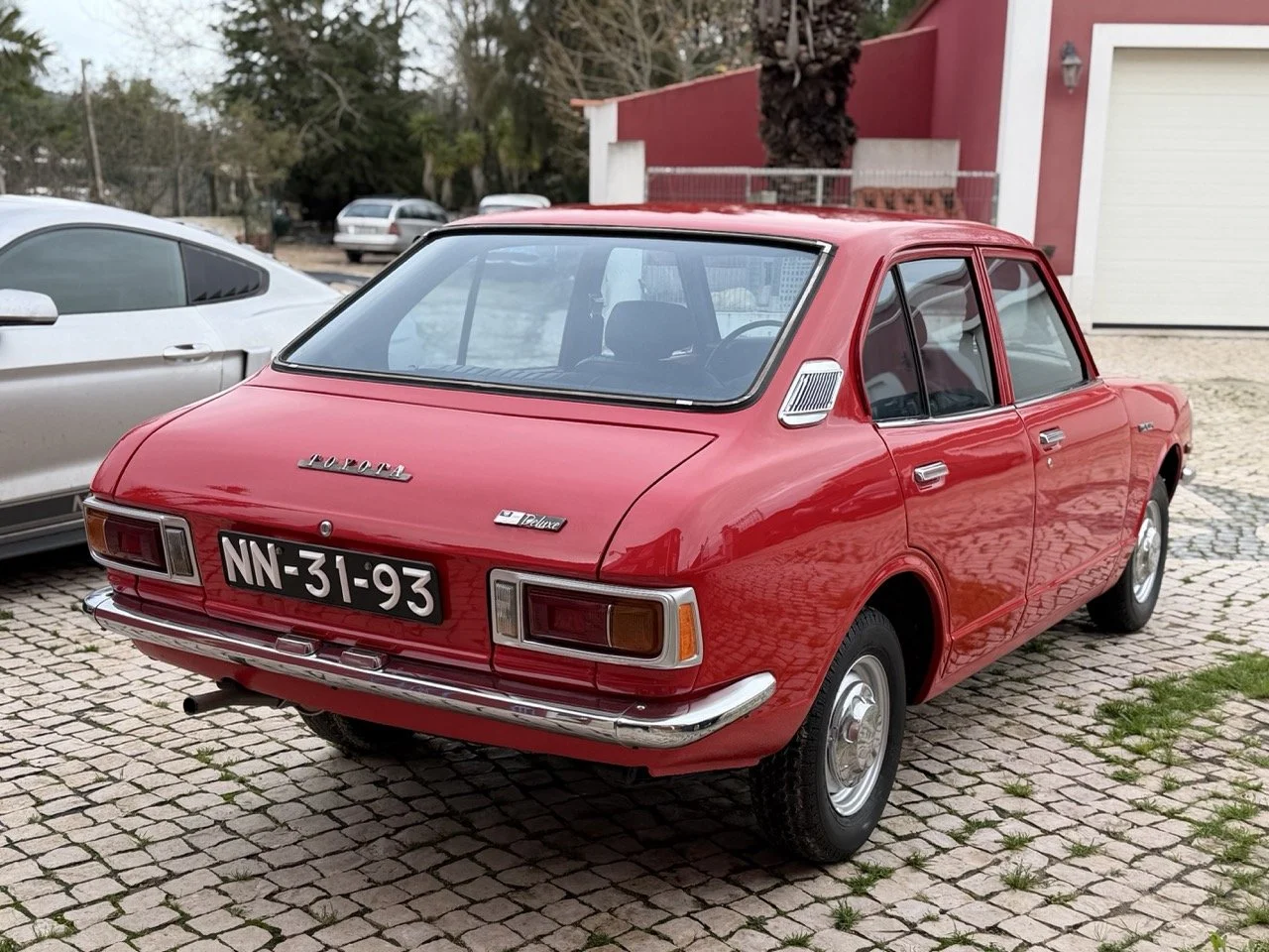 IMG_8205 – grande.jpeg