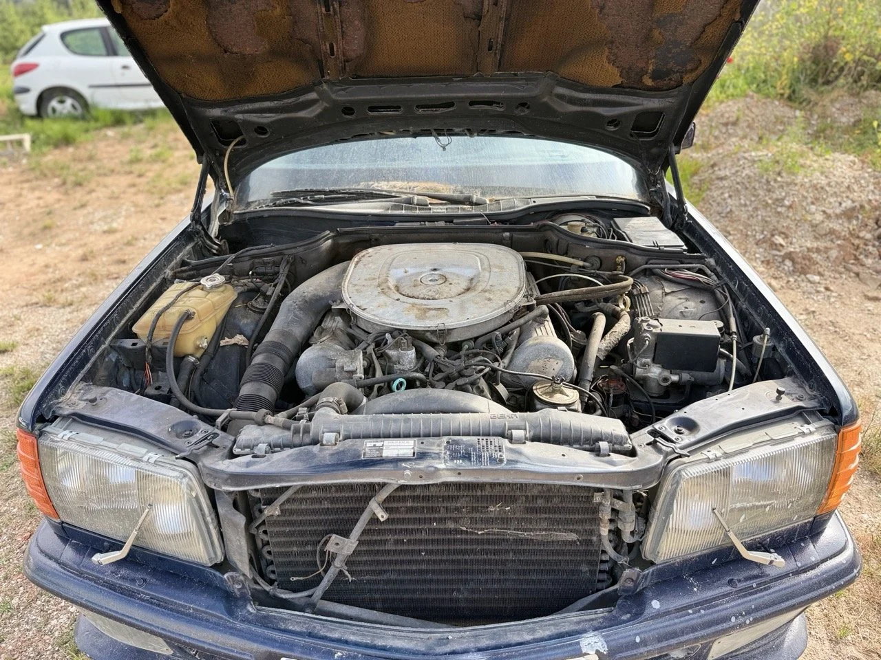 IMG_3382 – grande.jpeg