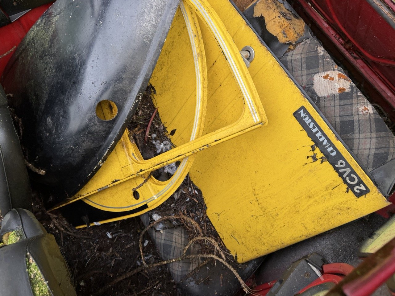 IMG_5477 – grande.jpeg