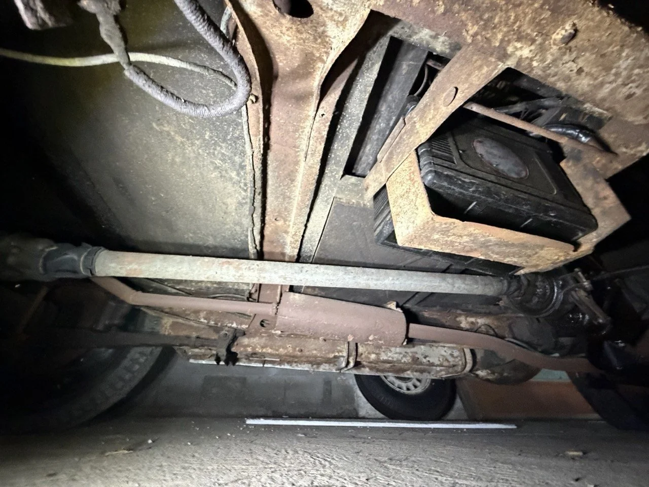 IMG_2503 – grande.jpeg