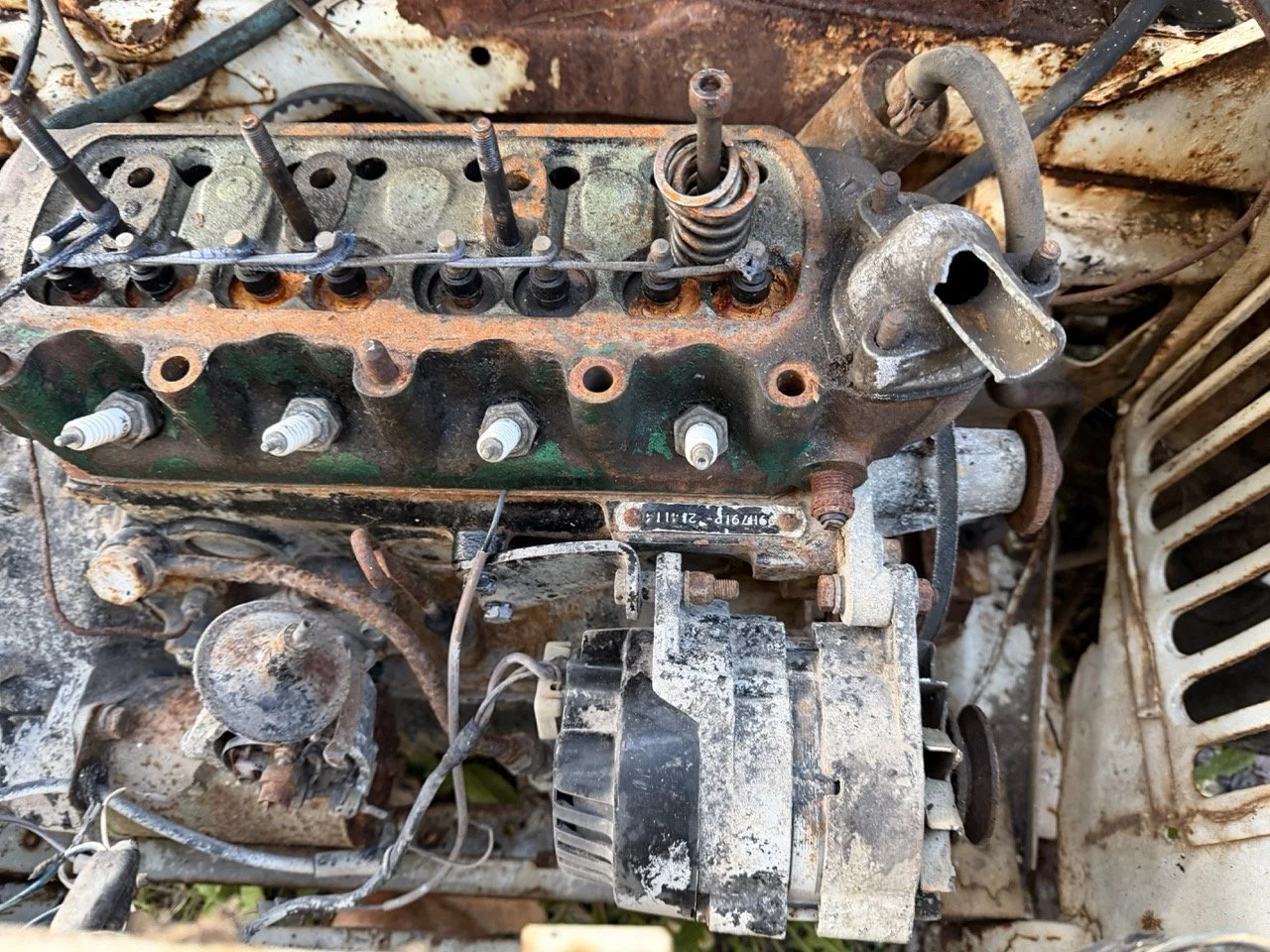 IMG_0878 – grande.jpeg