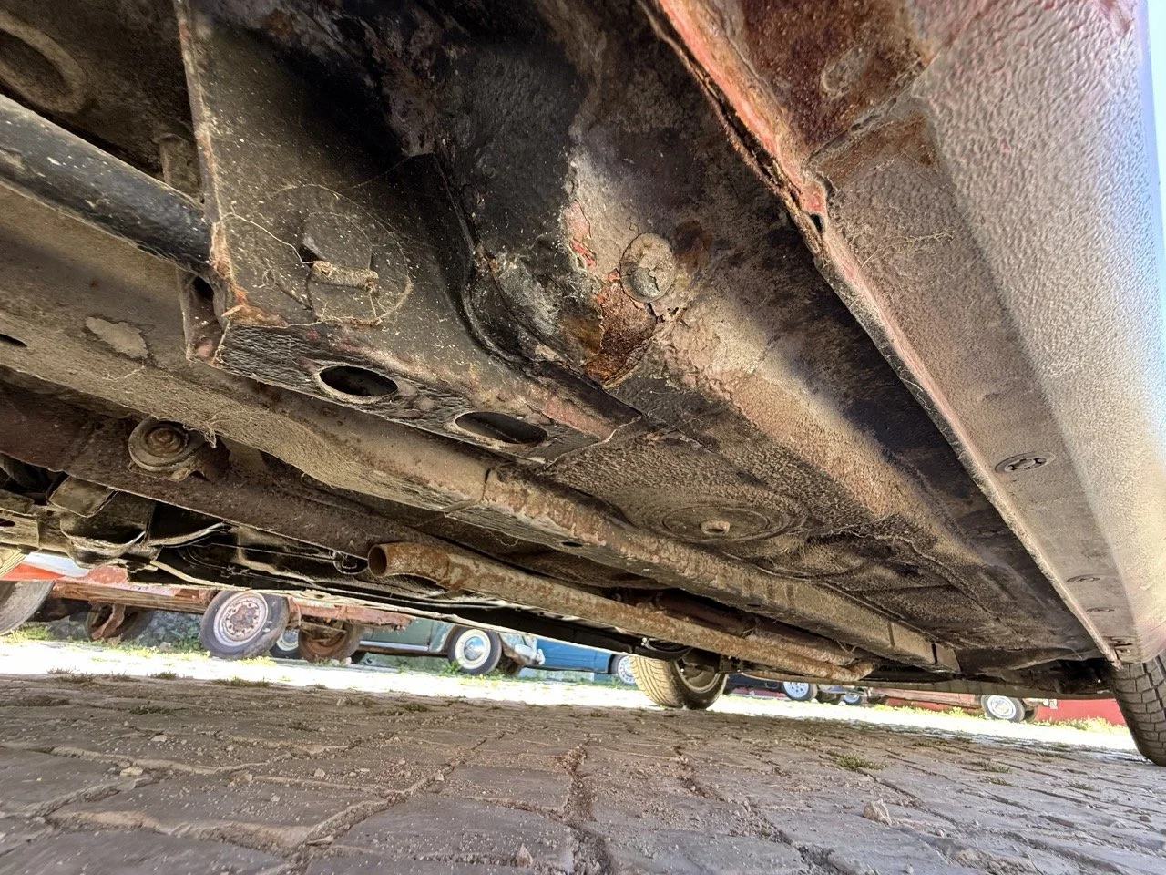 IMG_2108 – grande.jpeg