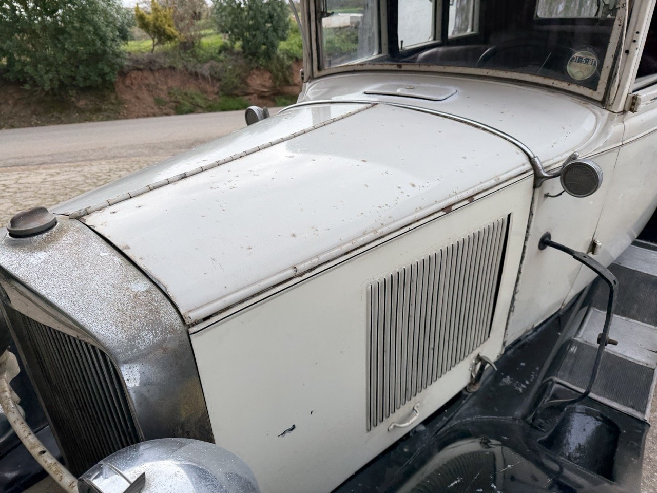 IMG_1622 – grande.jpeg