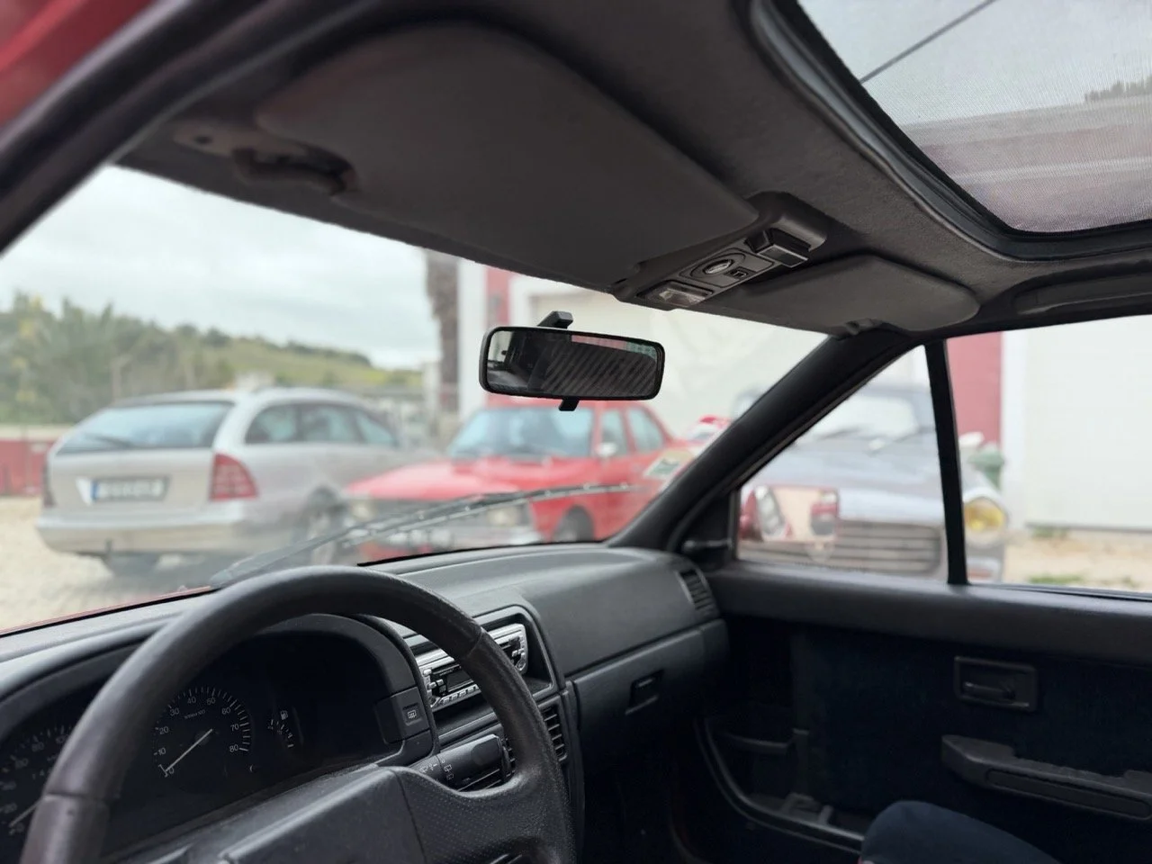 IMG_3579 – grande.jpeg