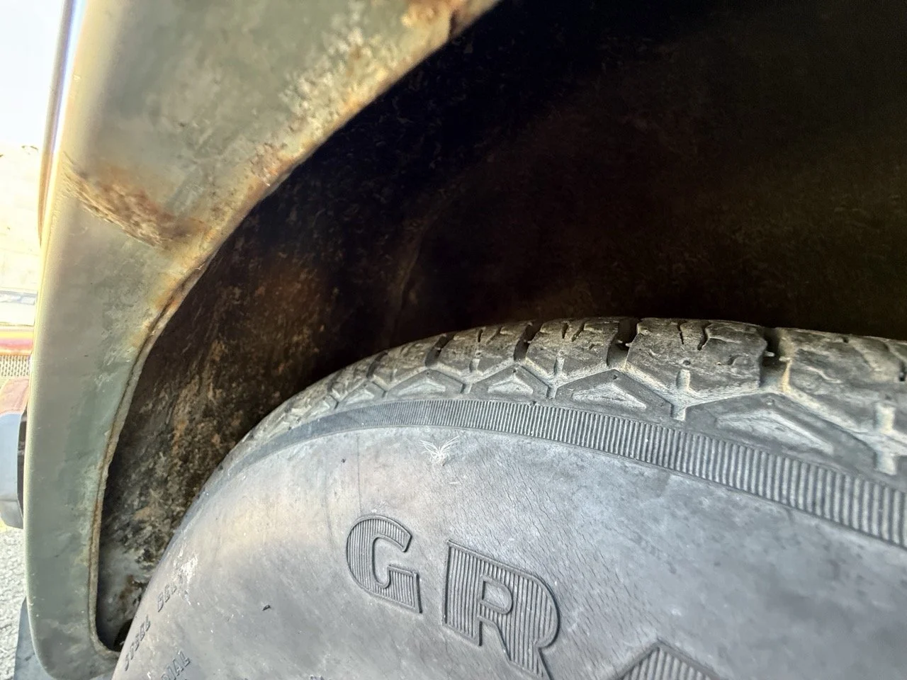 IMG_1247 – grande.jpeg