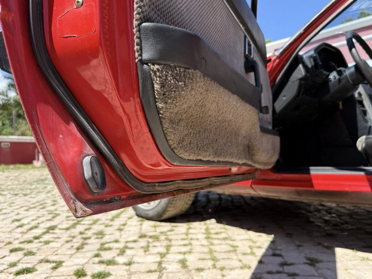 IMG_2062 – grande.jpeg