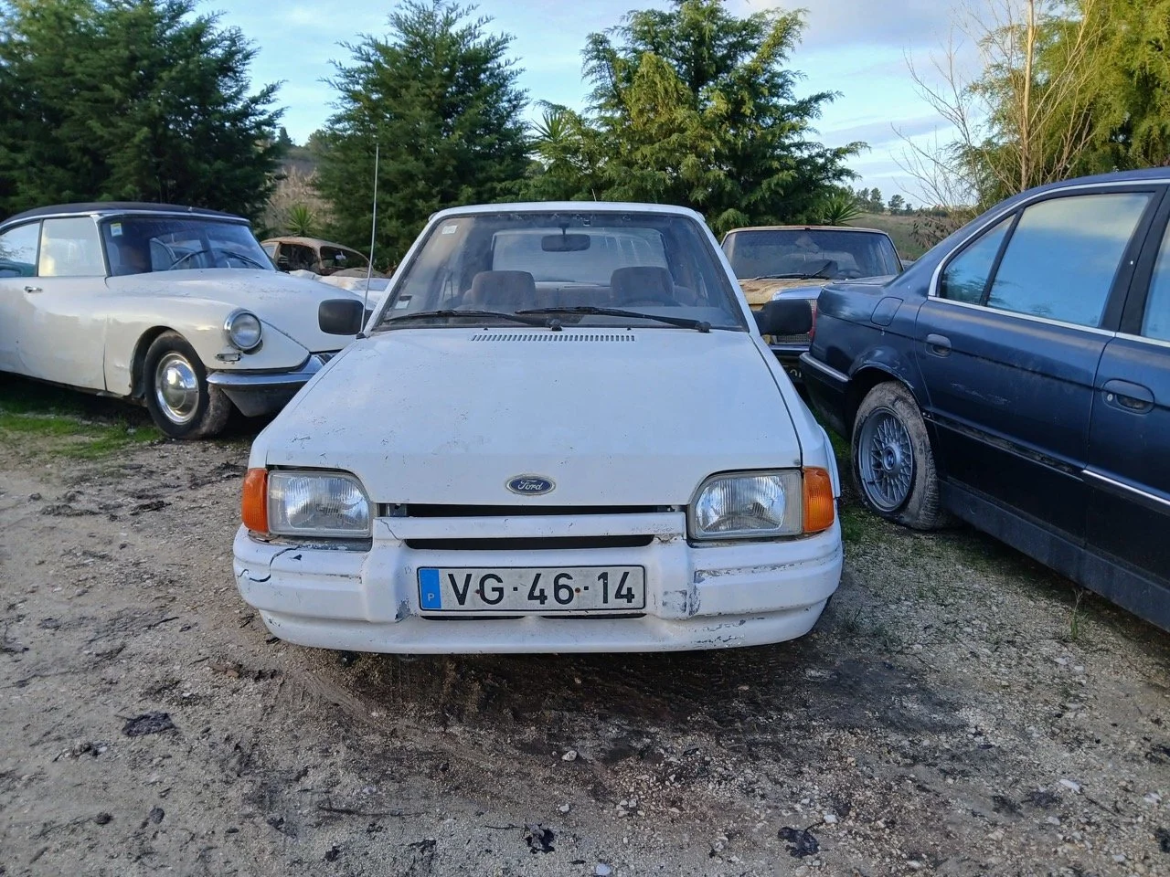 e5ec63b6-a69c-4365-a514-9743bd6deff8 2 – grande.jpeg