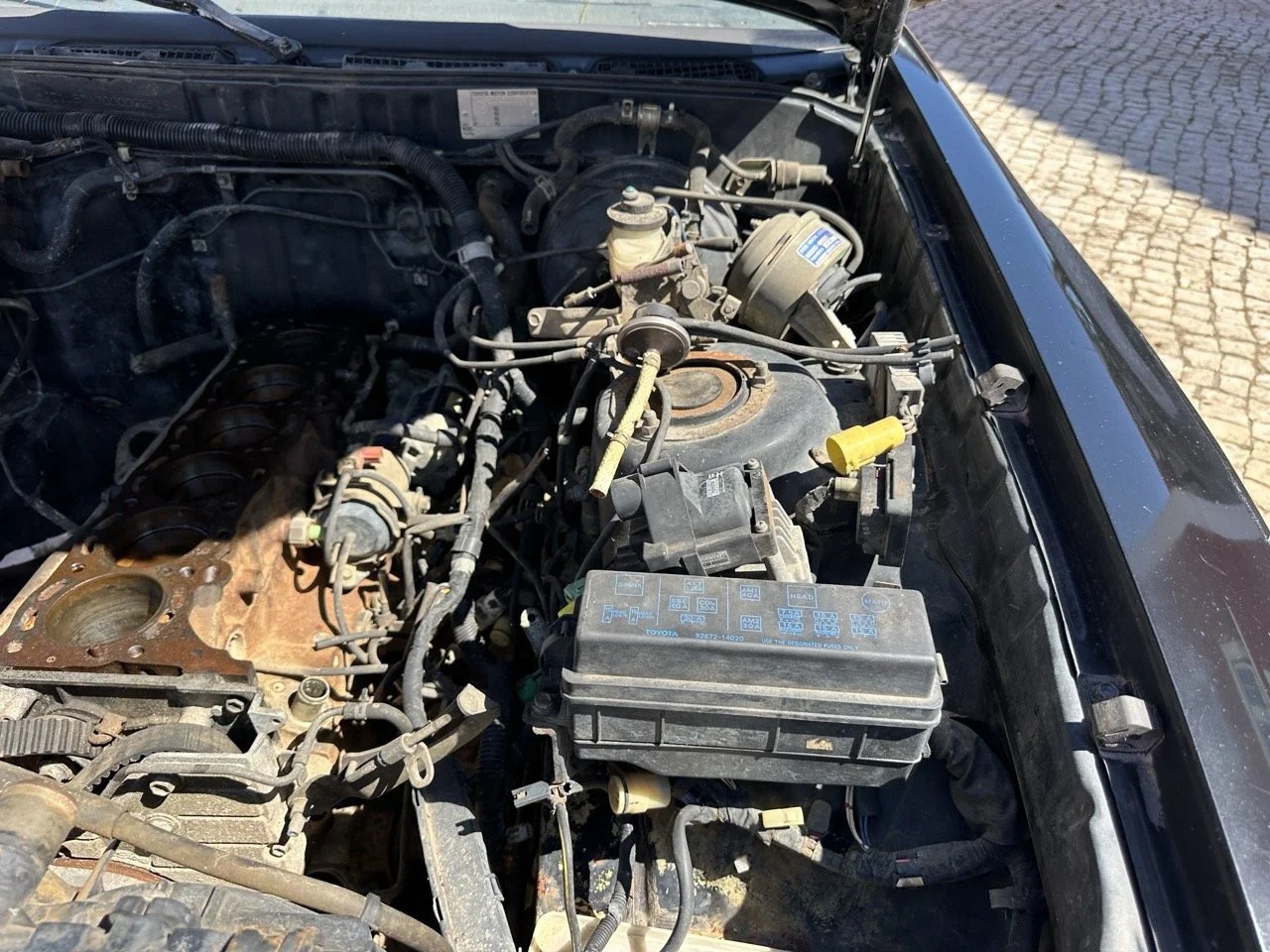 IMG_3065 – grande.jpeg