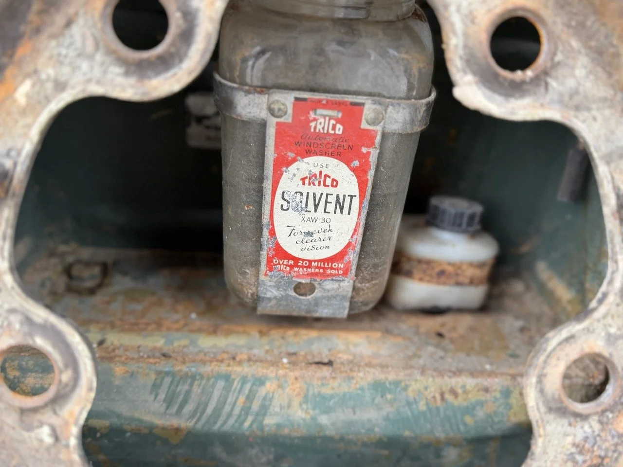 IMG_1176 – grande.jpeg