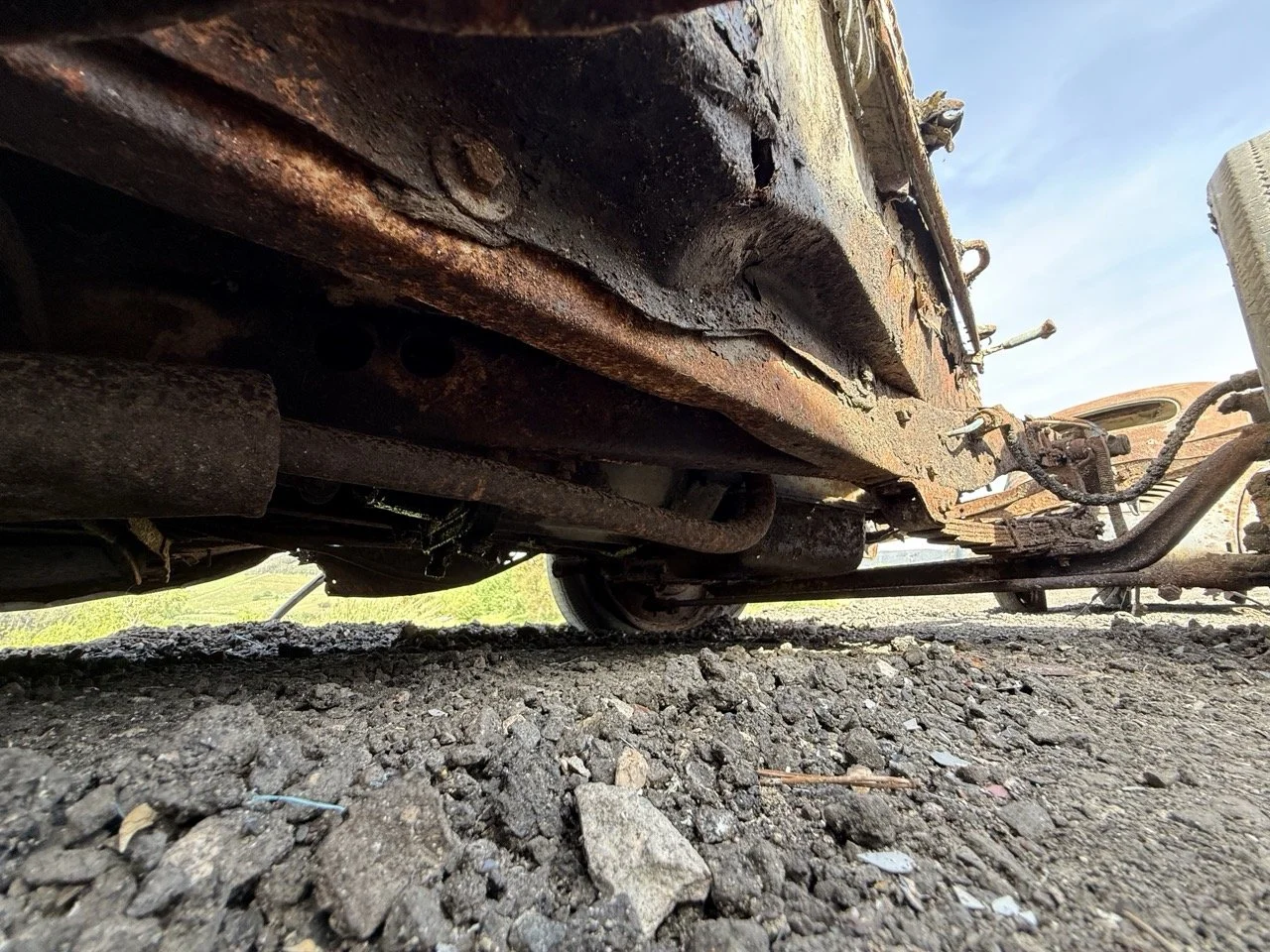 IMG_0374 – grande.jpeg