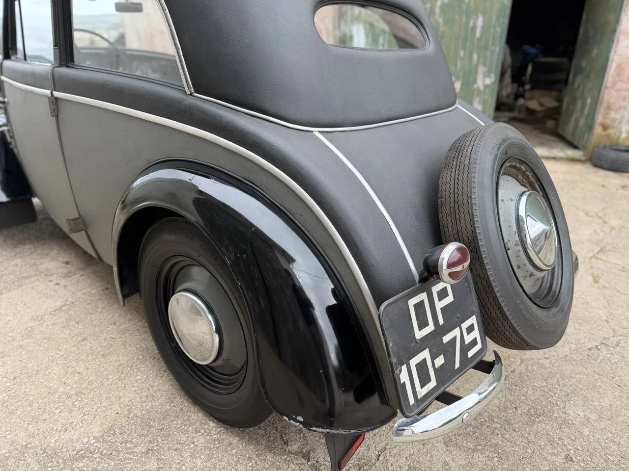 IMG_1460 – grande.jpeg