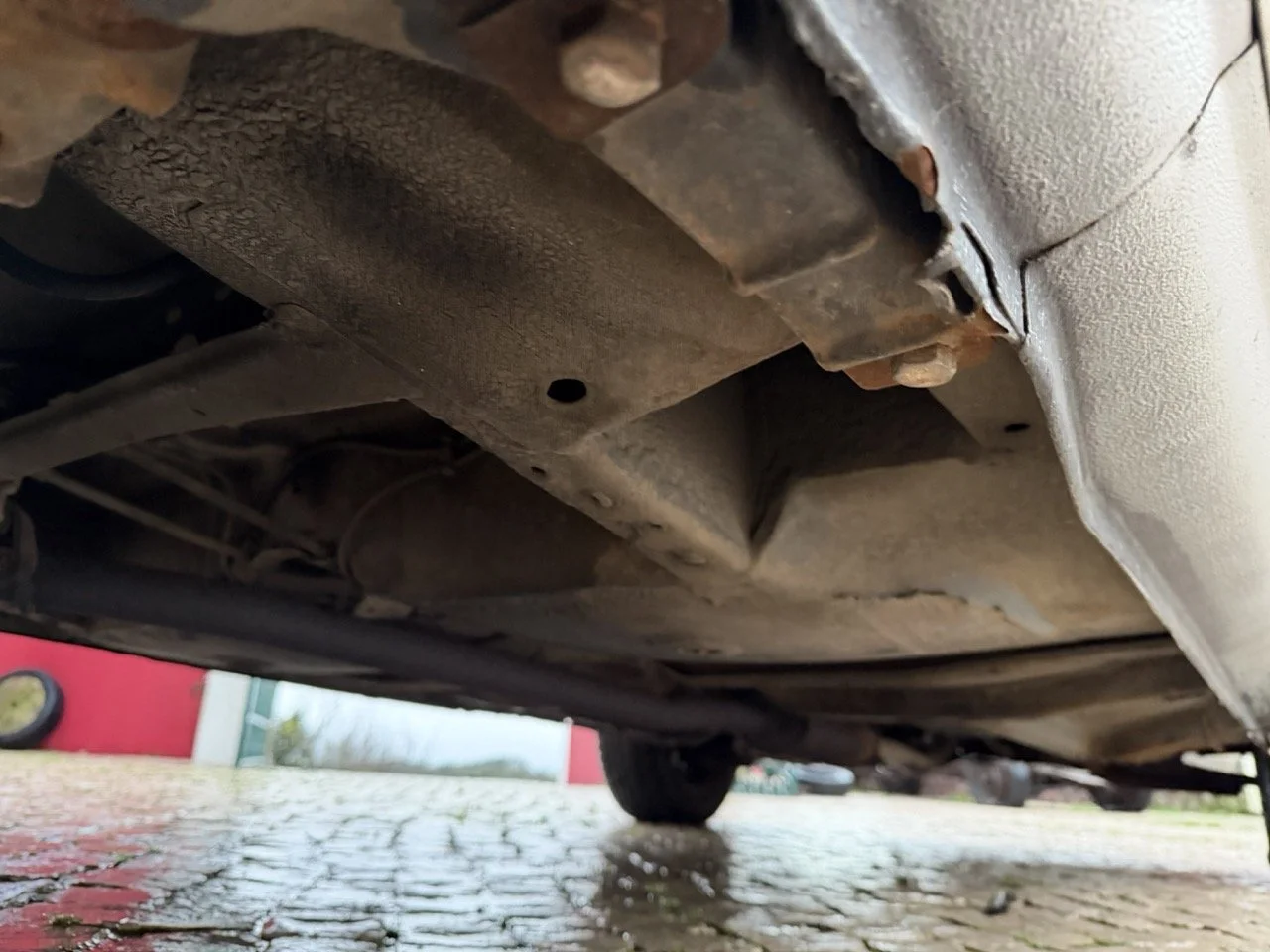 IMG_4782 3 – grande.jpeg