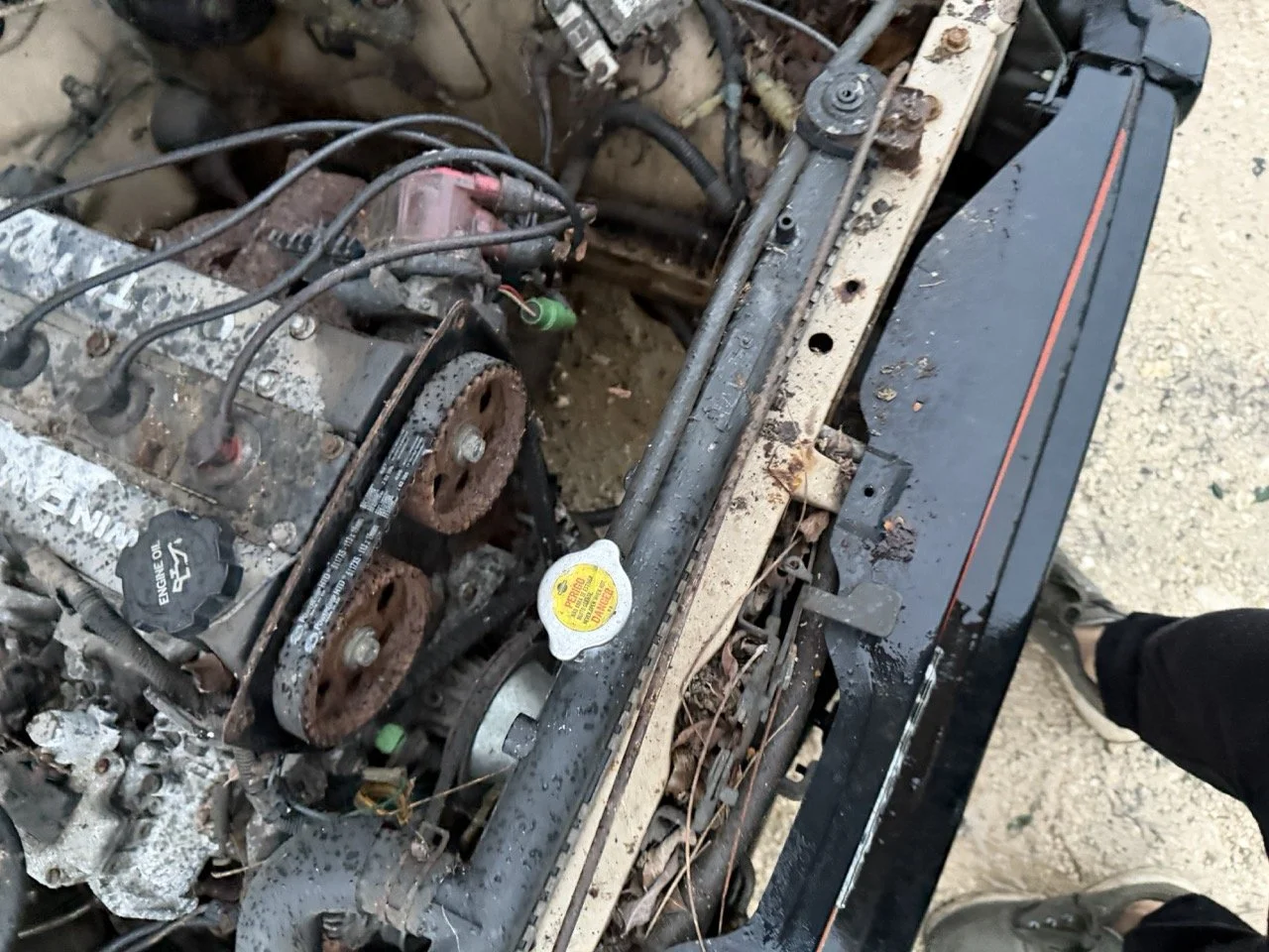 IMG_0249 – grande.jpeg