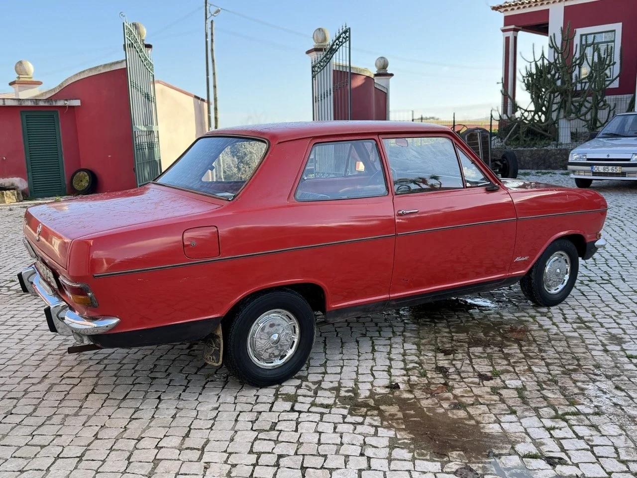 IMG_7690 – grande.jpeg