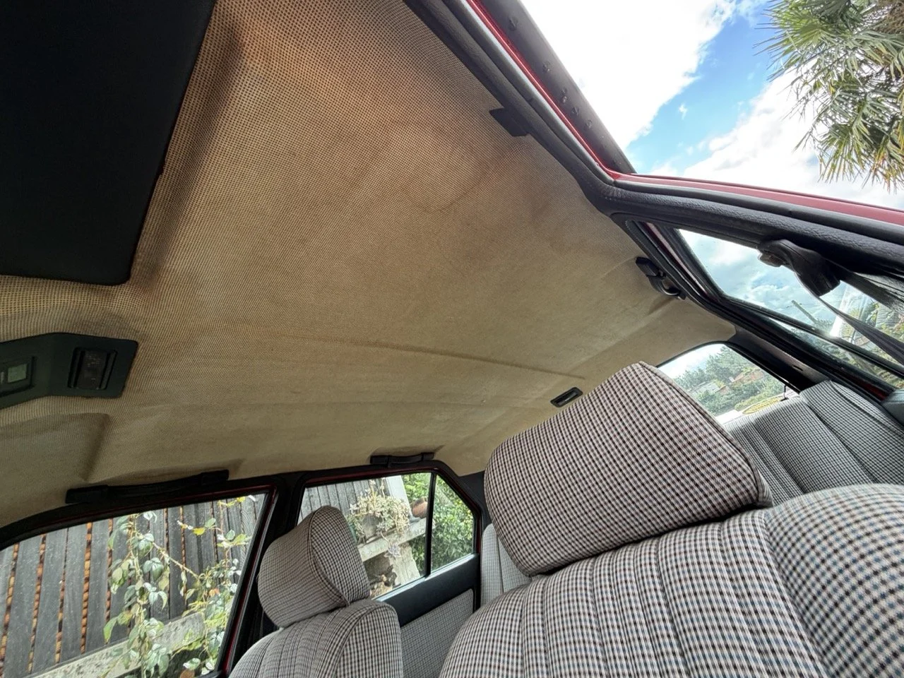 IMG_3289 – grande.jpeg