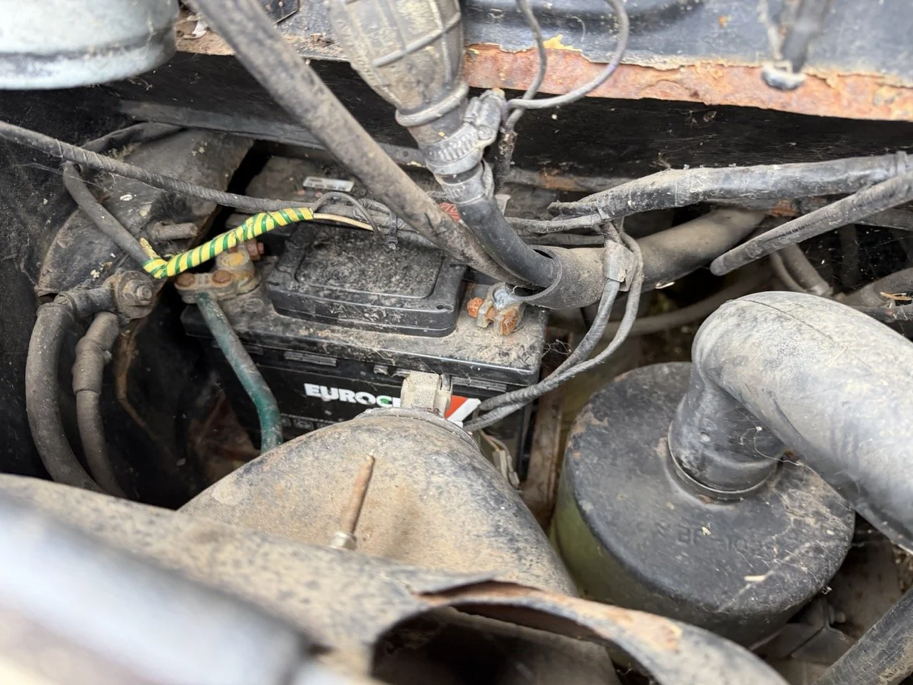 IMG_1363 – grande.jpeg