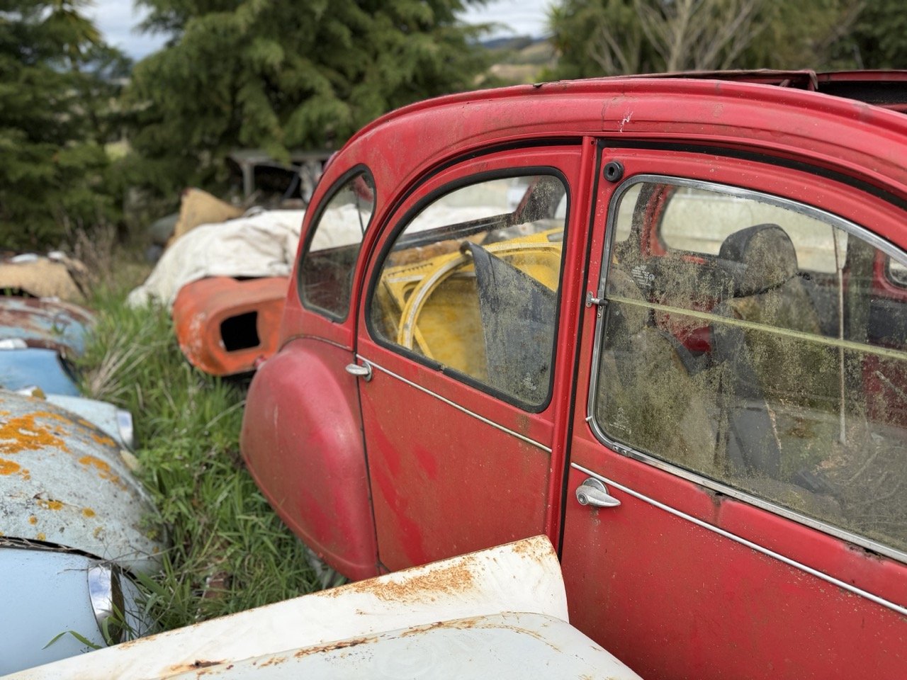 IMG_3850 – grande.jpeg