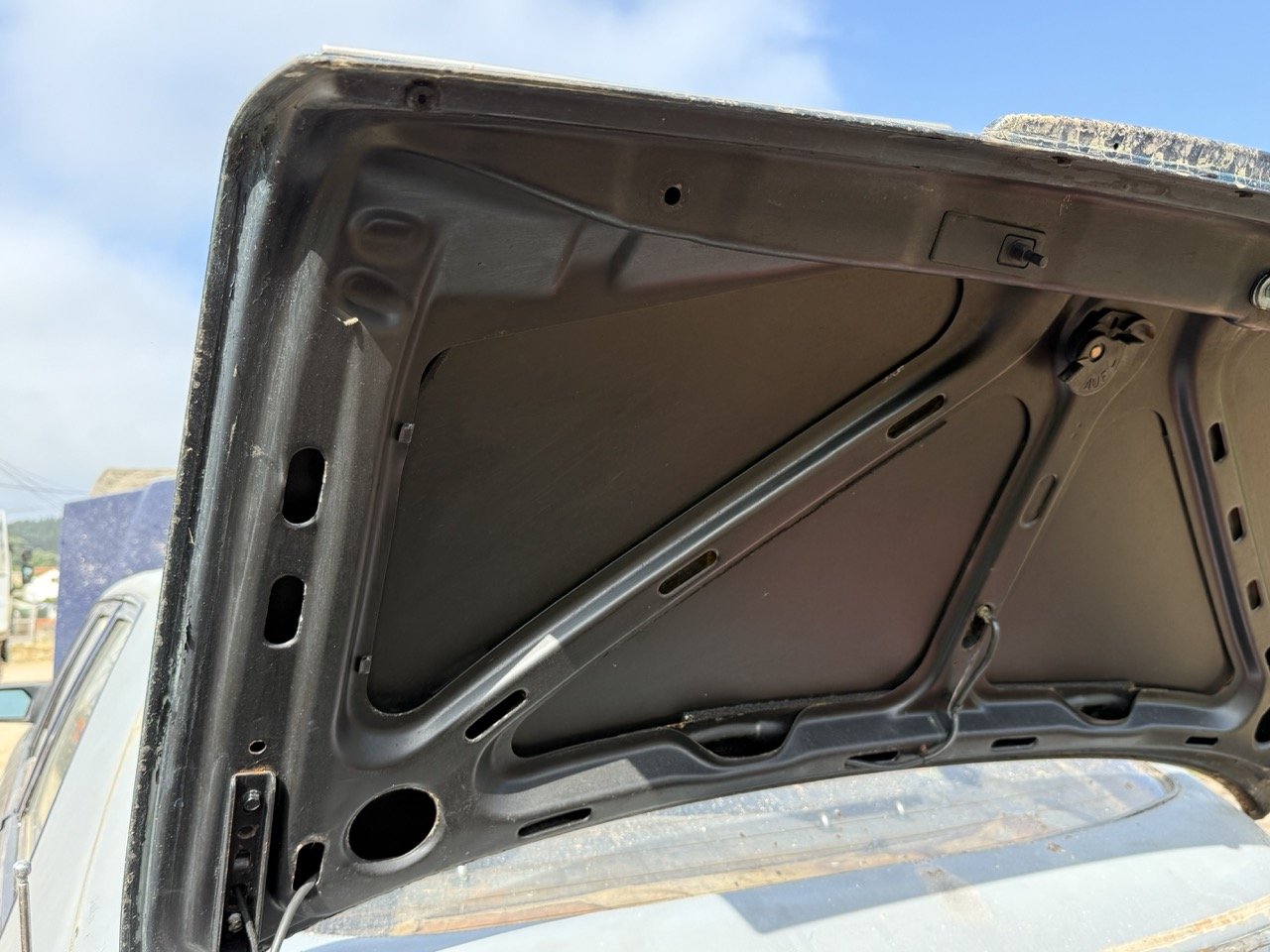 IMG_3399 – grande.jpeg