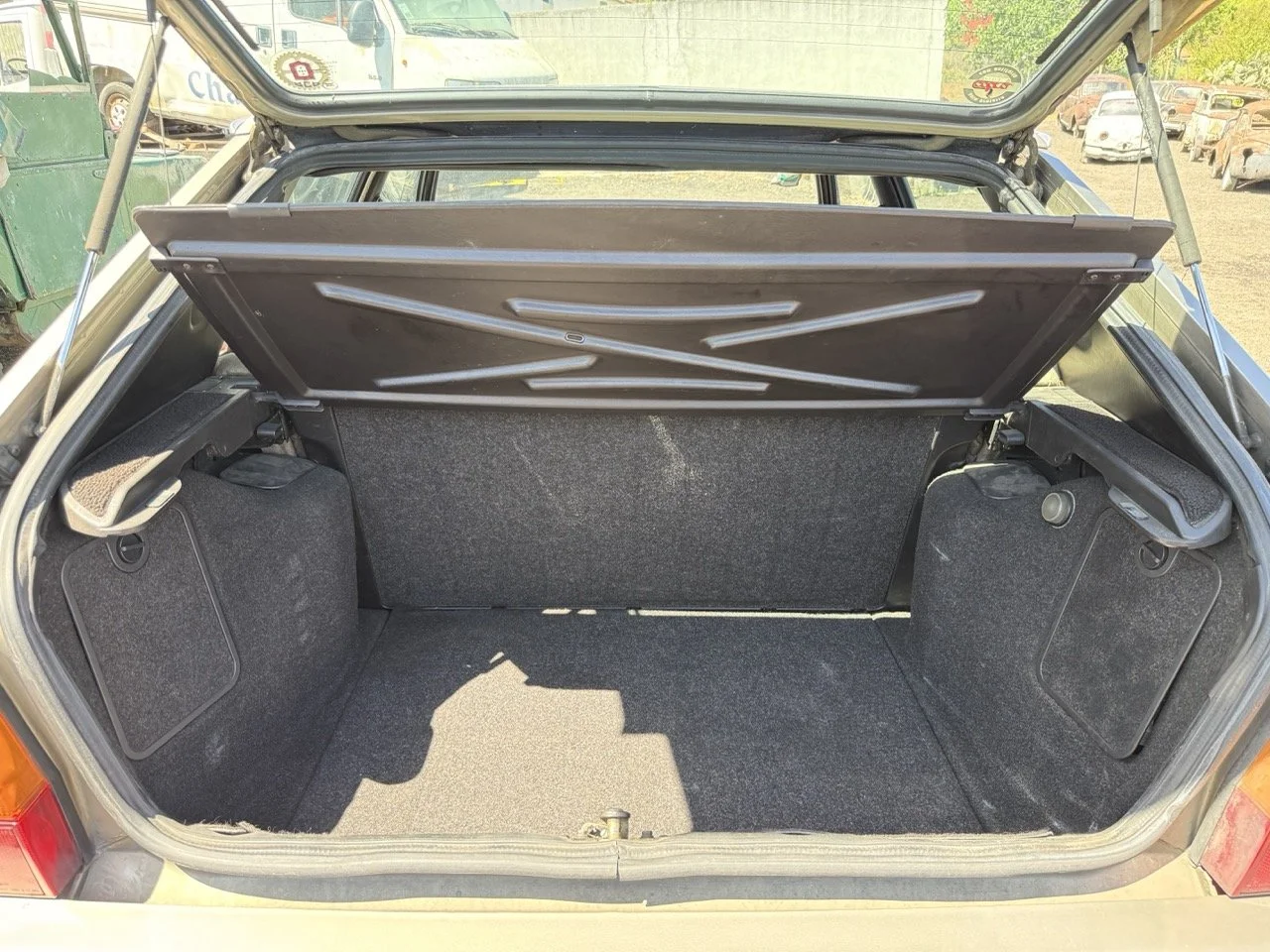 IMG_1901 – grande.jpeg