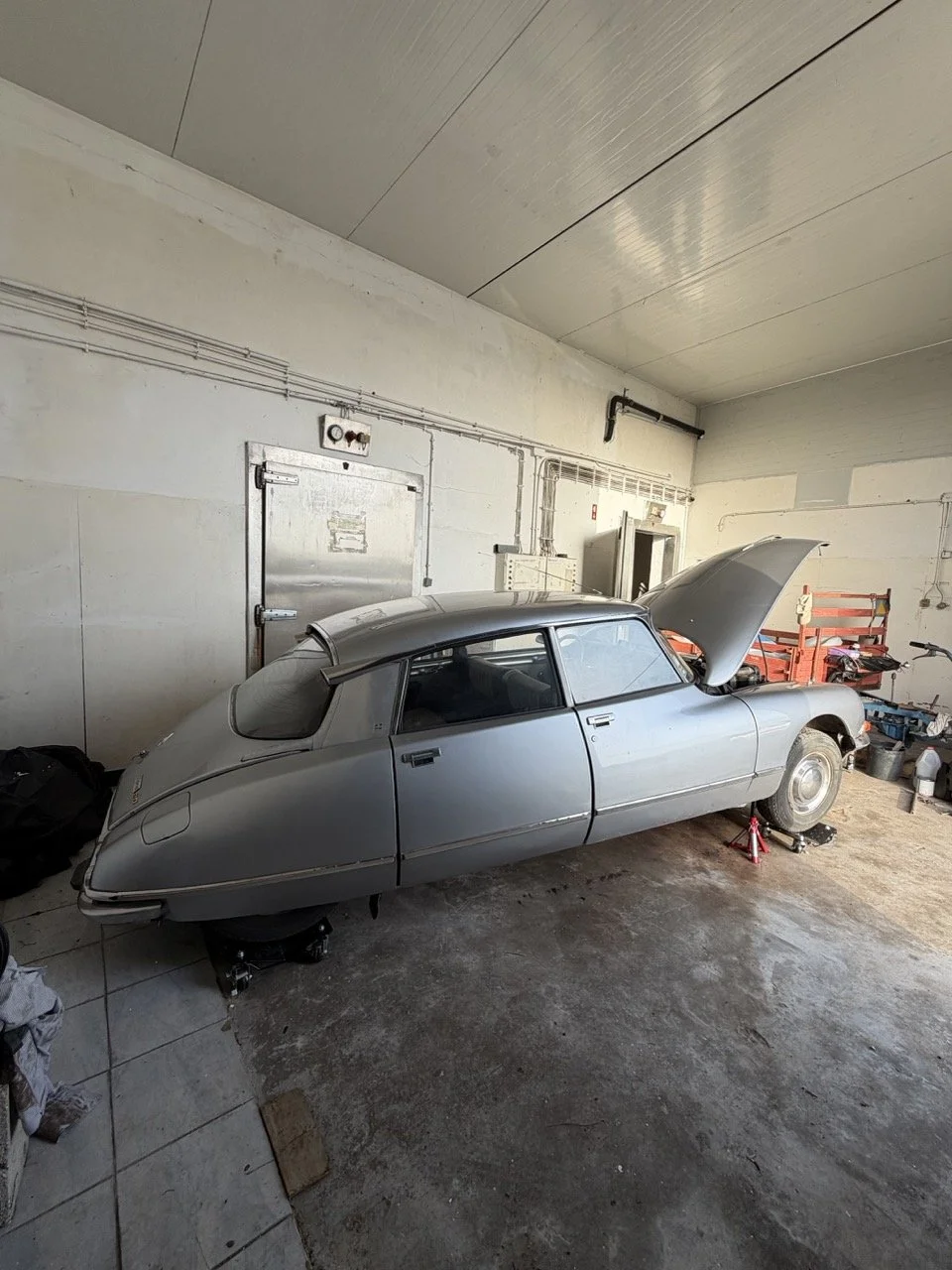 IMG_0342 – grande.jpeg