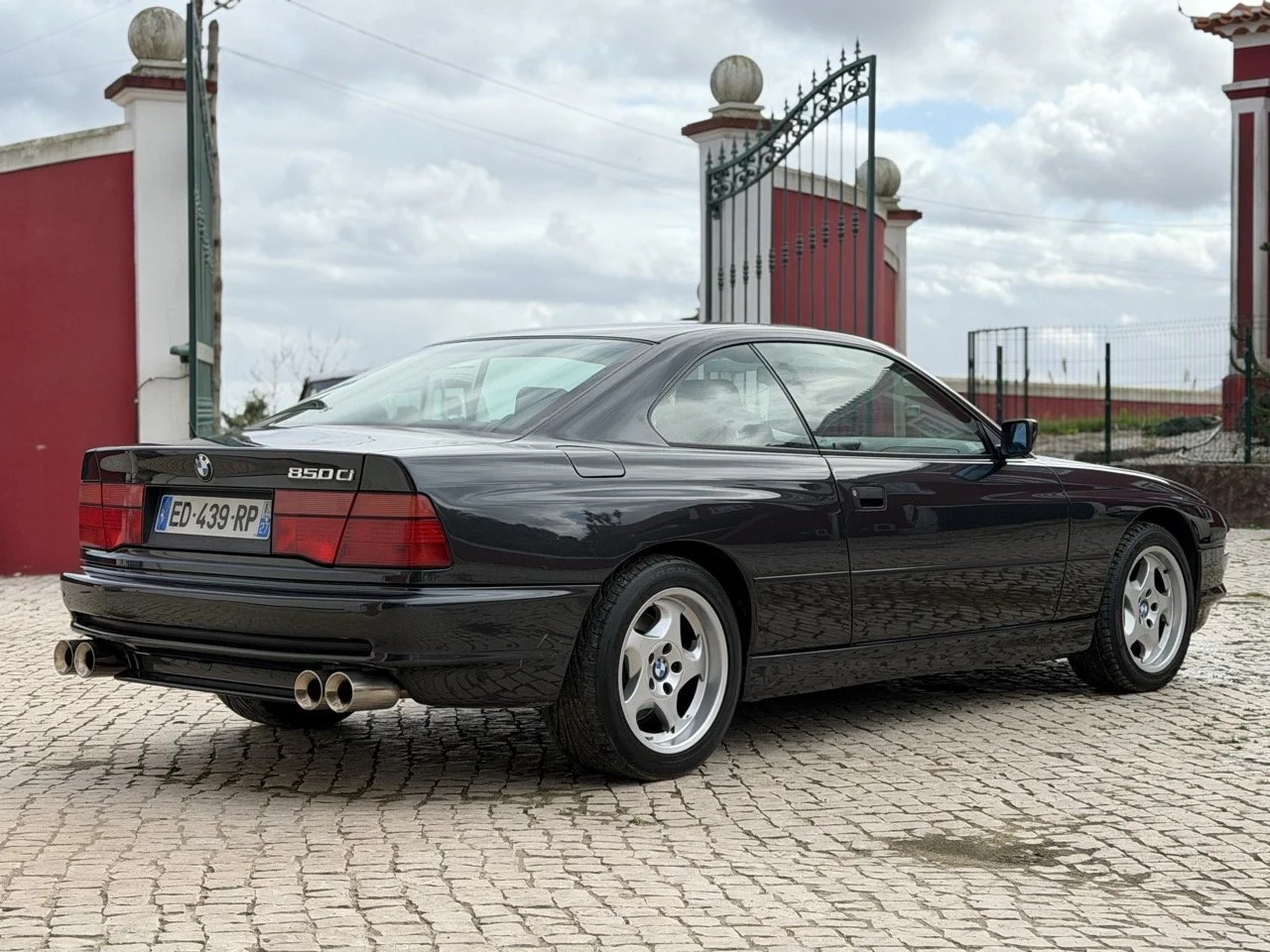 IMG_6769 – grande.jpeg