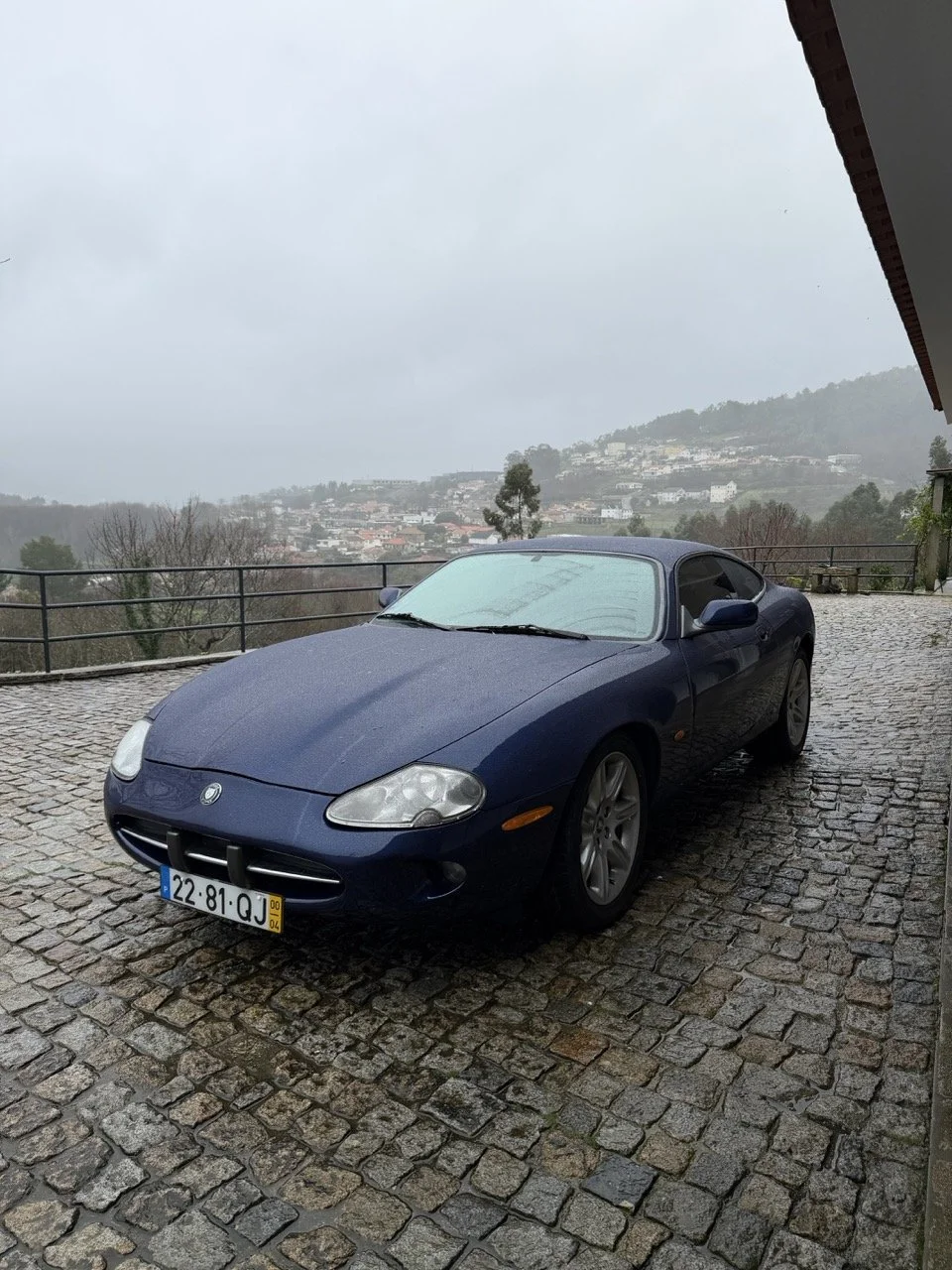 IMG_3624 – grande.jpeg