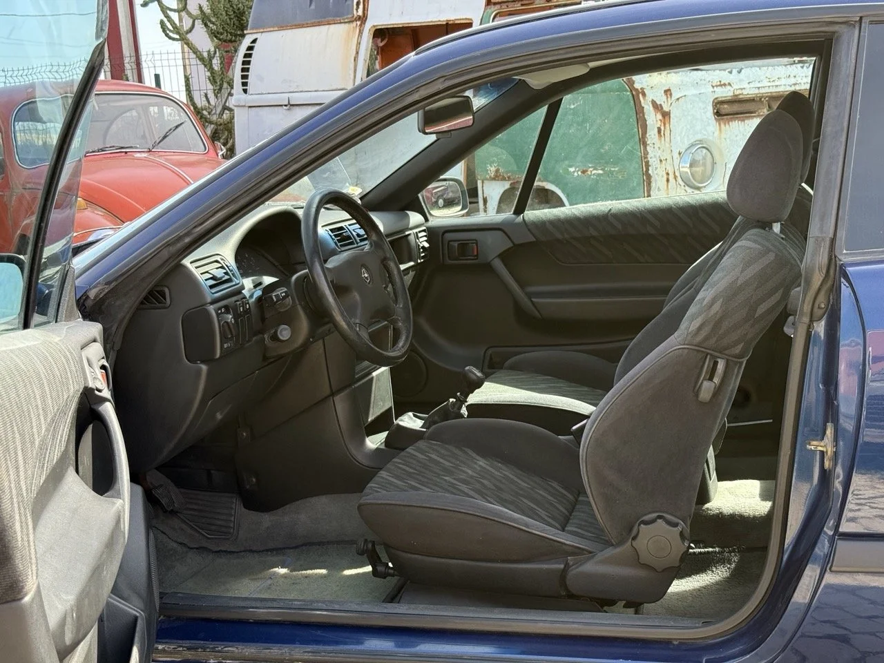 IMG_2398 – grande.jpeg