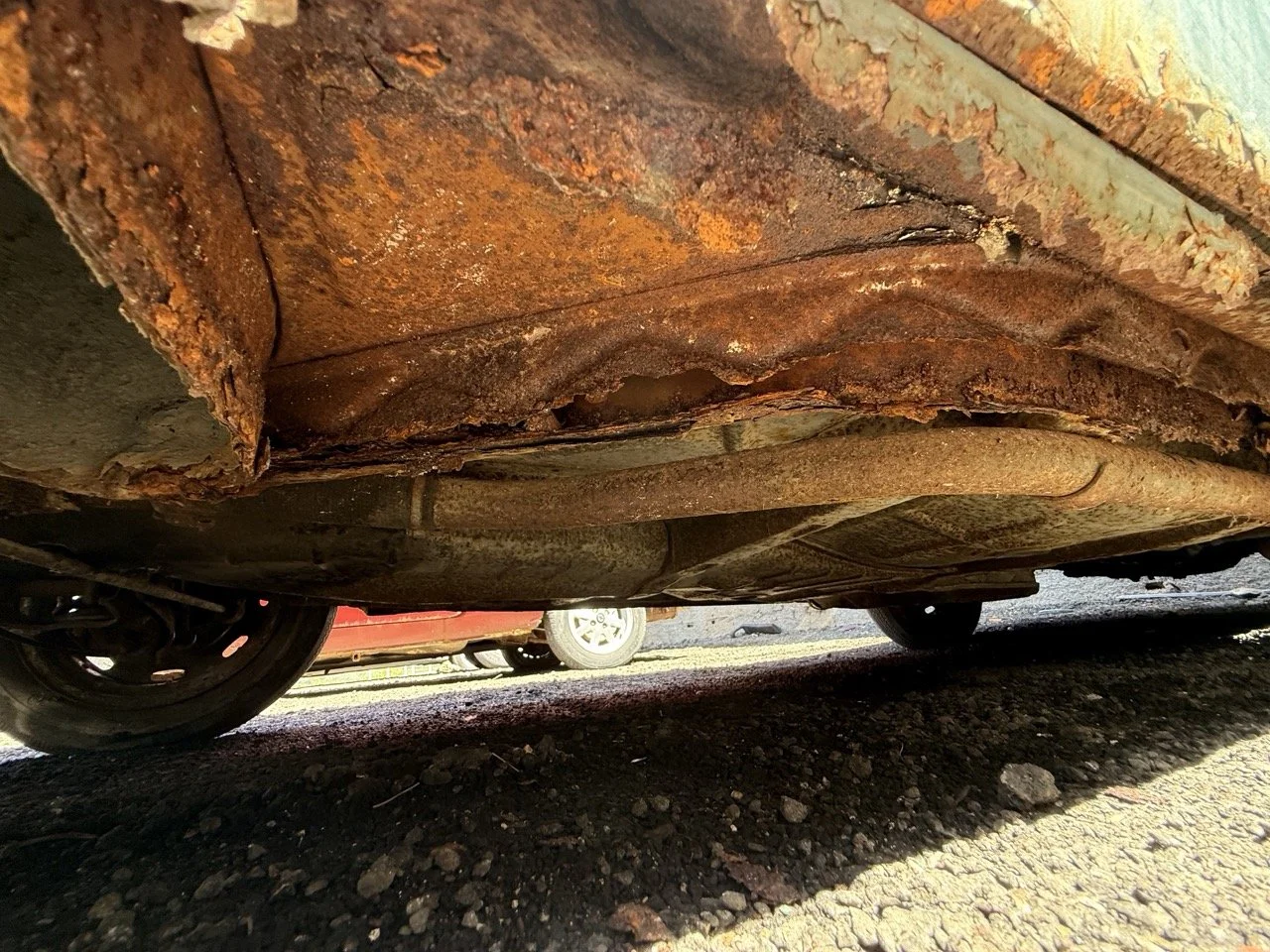 IMG_0885 – grande.jpeg