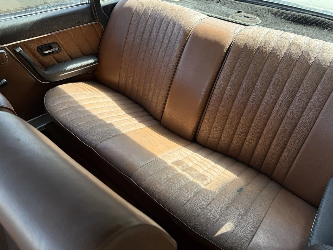 IMG_0564 – grande.jpeg