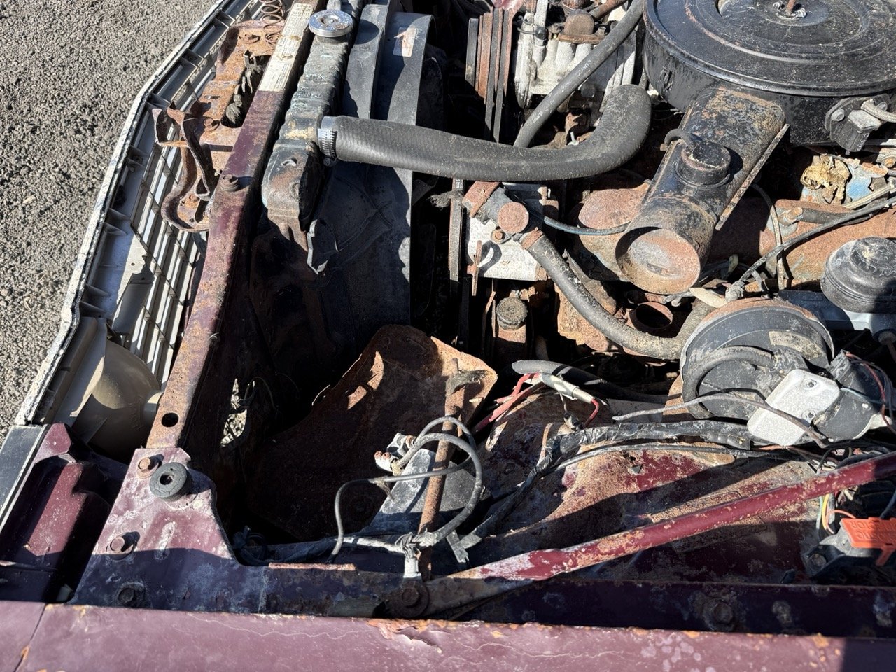 IMG_3037 – grande.jpeg