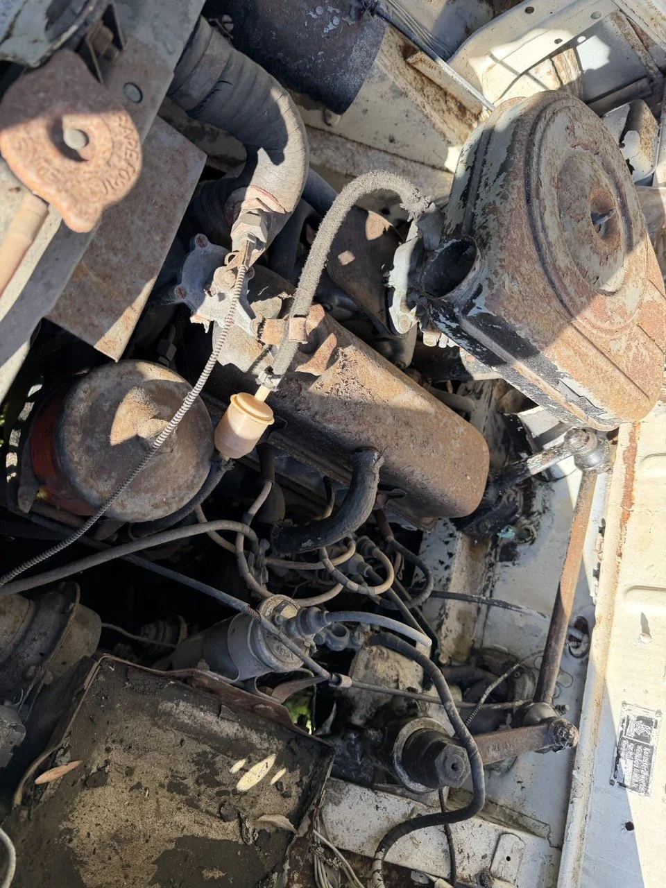 IMG_2541 – grande.jpeg