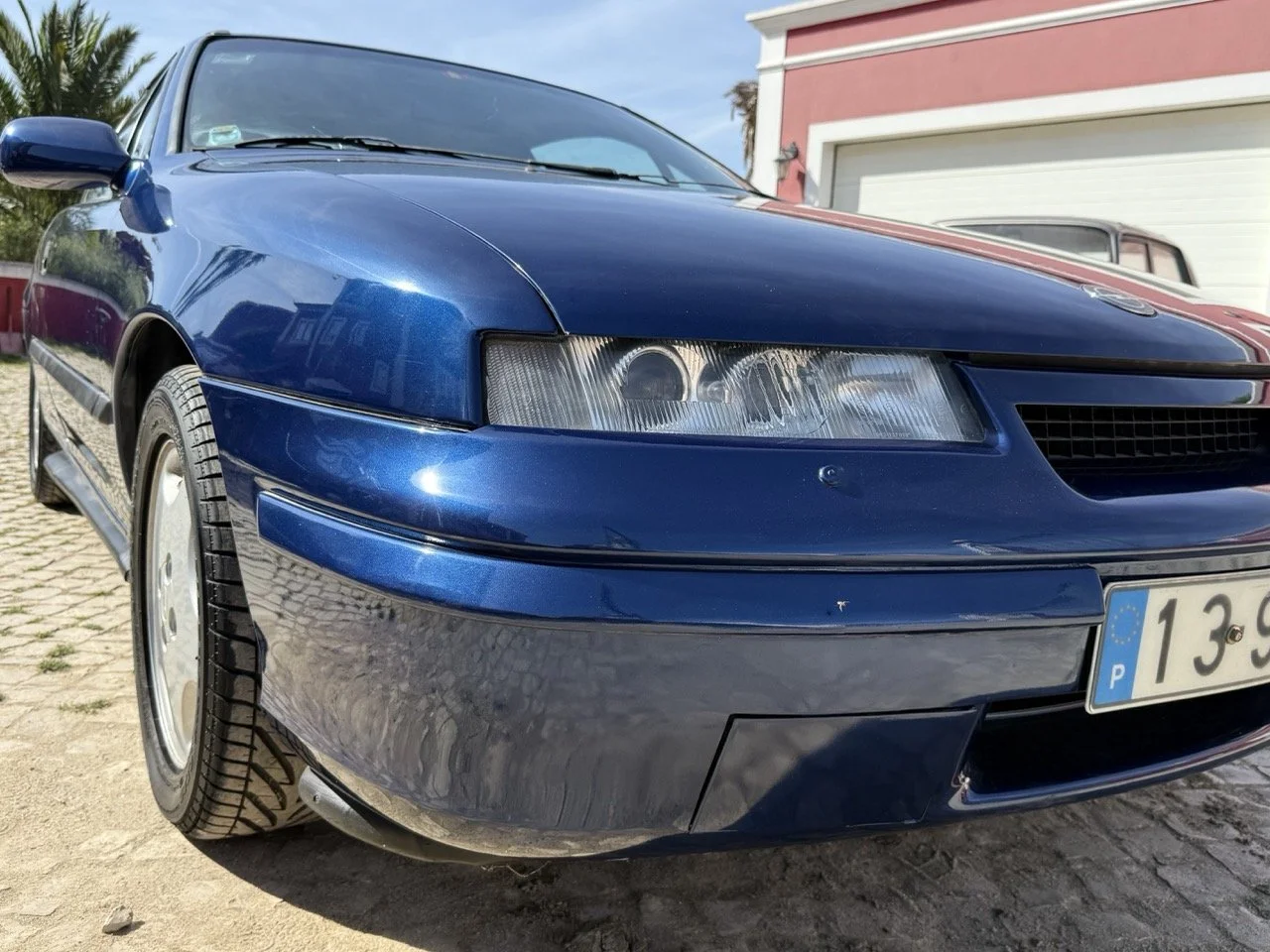 IMG_2473 – grande.jpeg