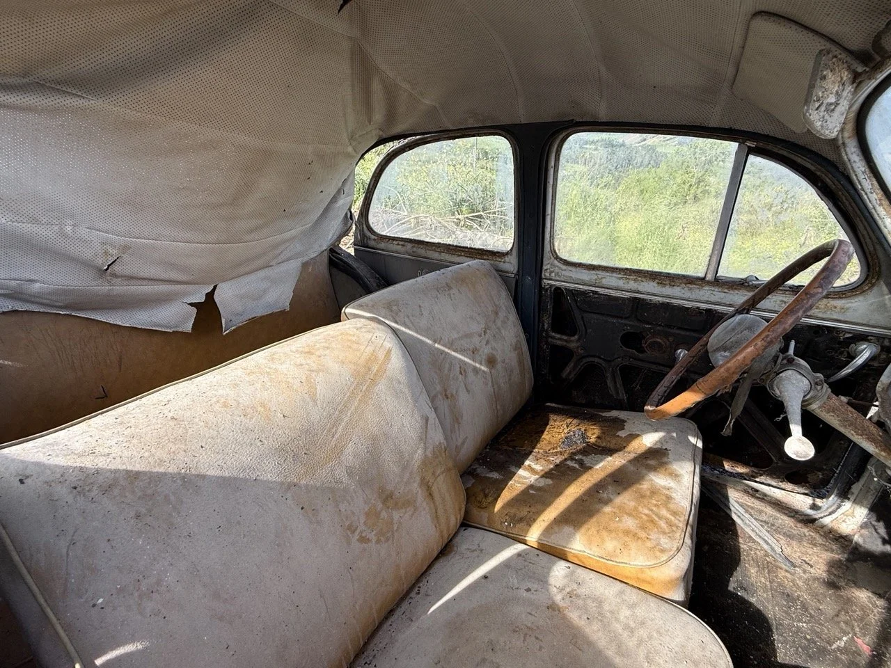 IMG_0404 – grande.jpeg