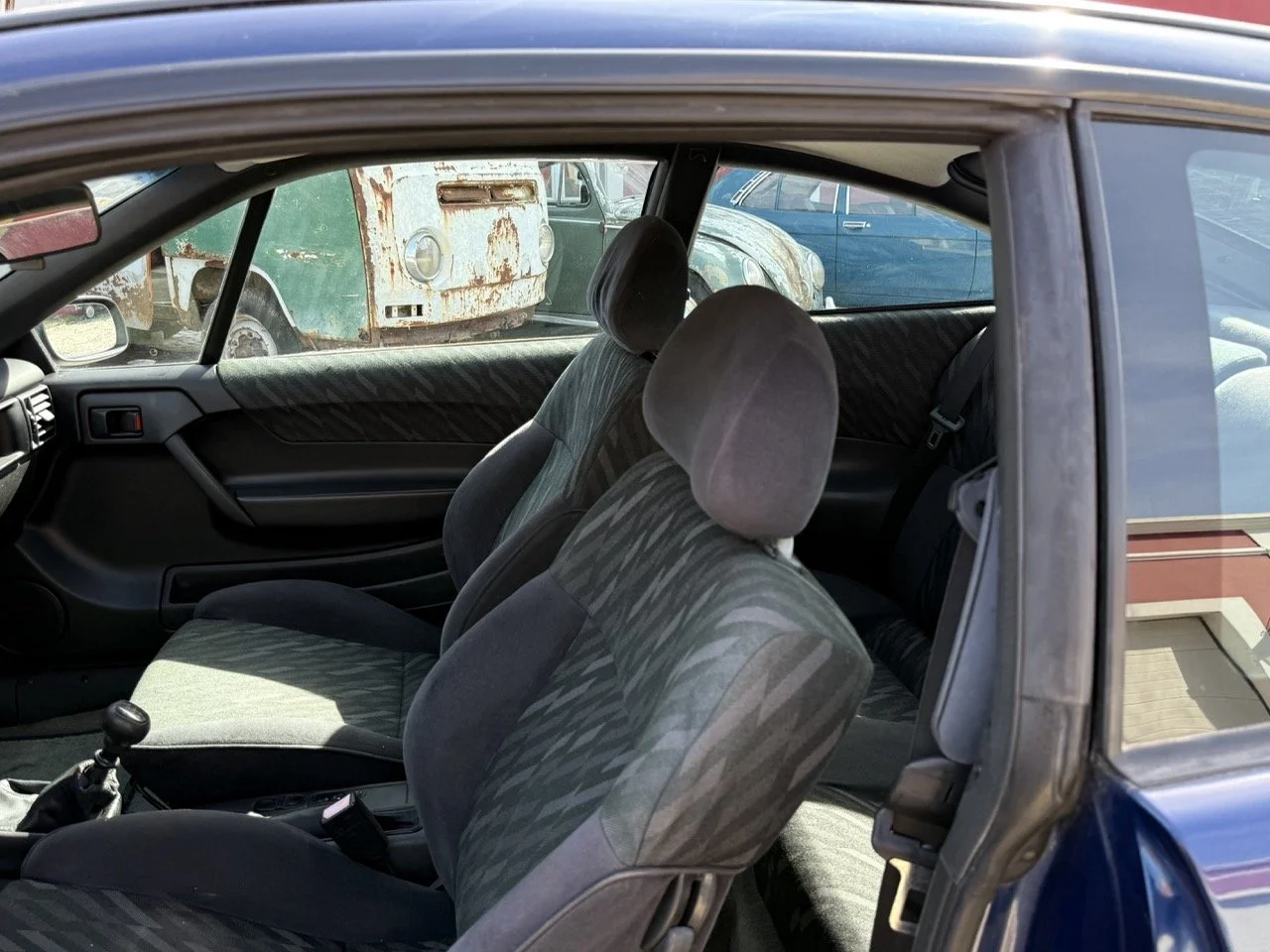 IMG_2440 – grande.jpeg