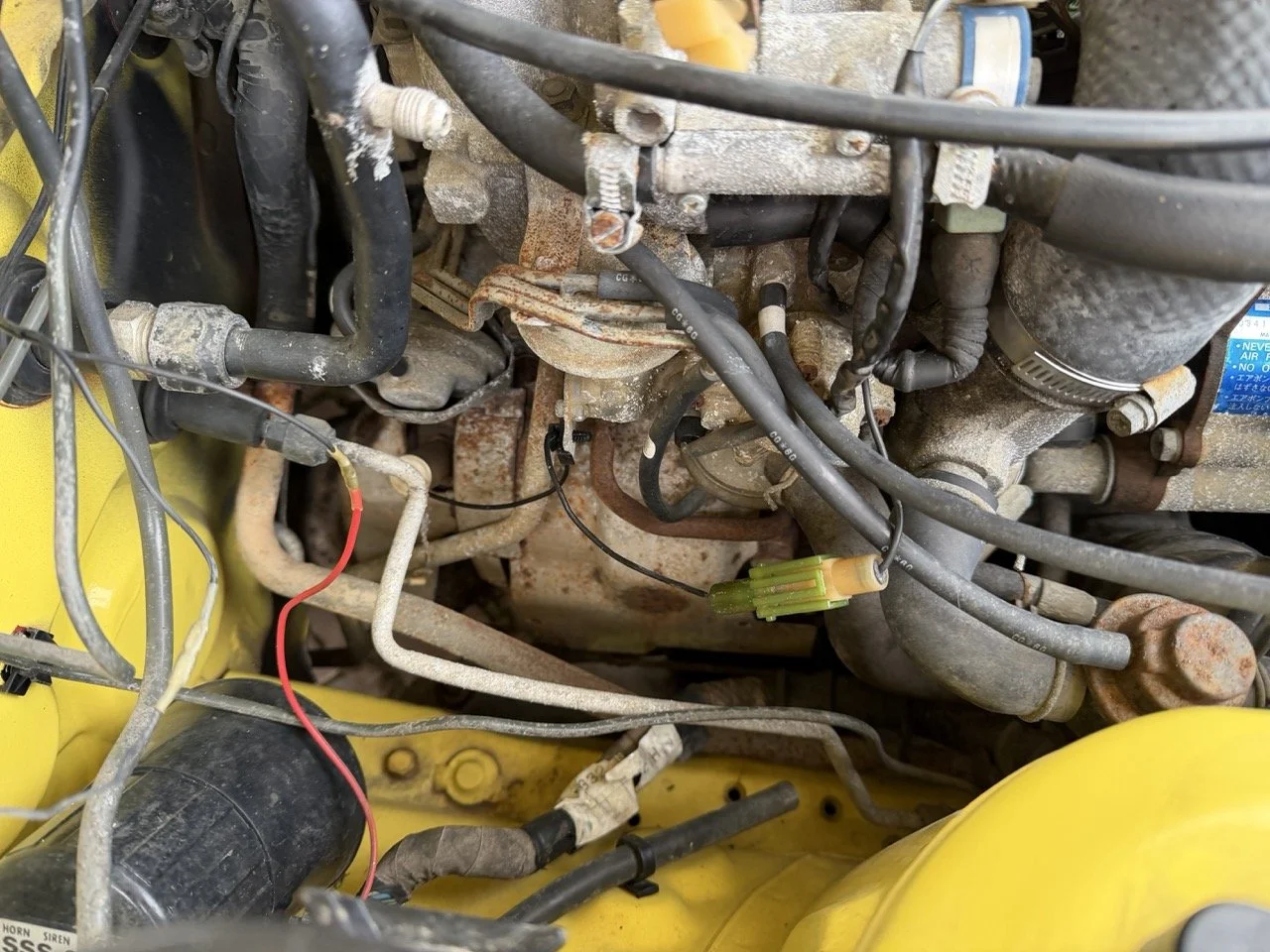 IMG_9760 – grande.jpeg