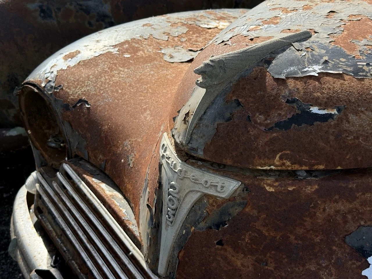 IMG_0397 – grande.jpeg