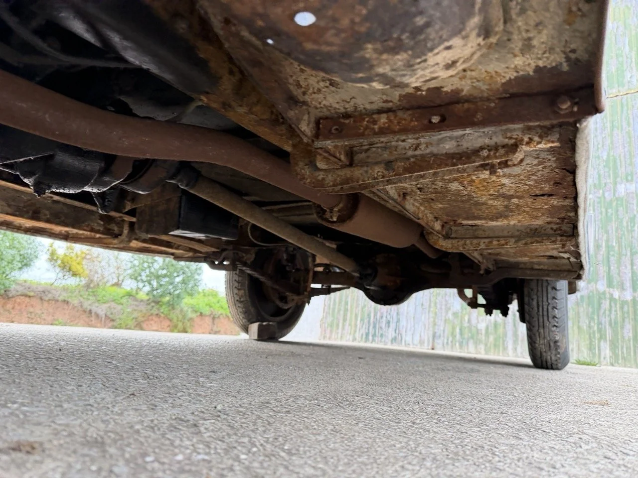 IMG_1663 – grande.jpeg