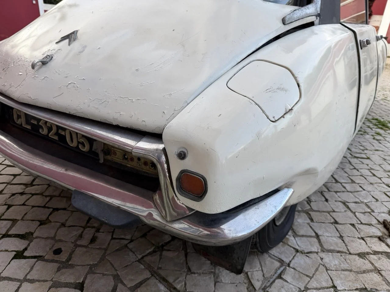 IMG_5956 2 – grande.jpeg