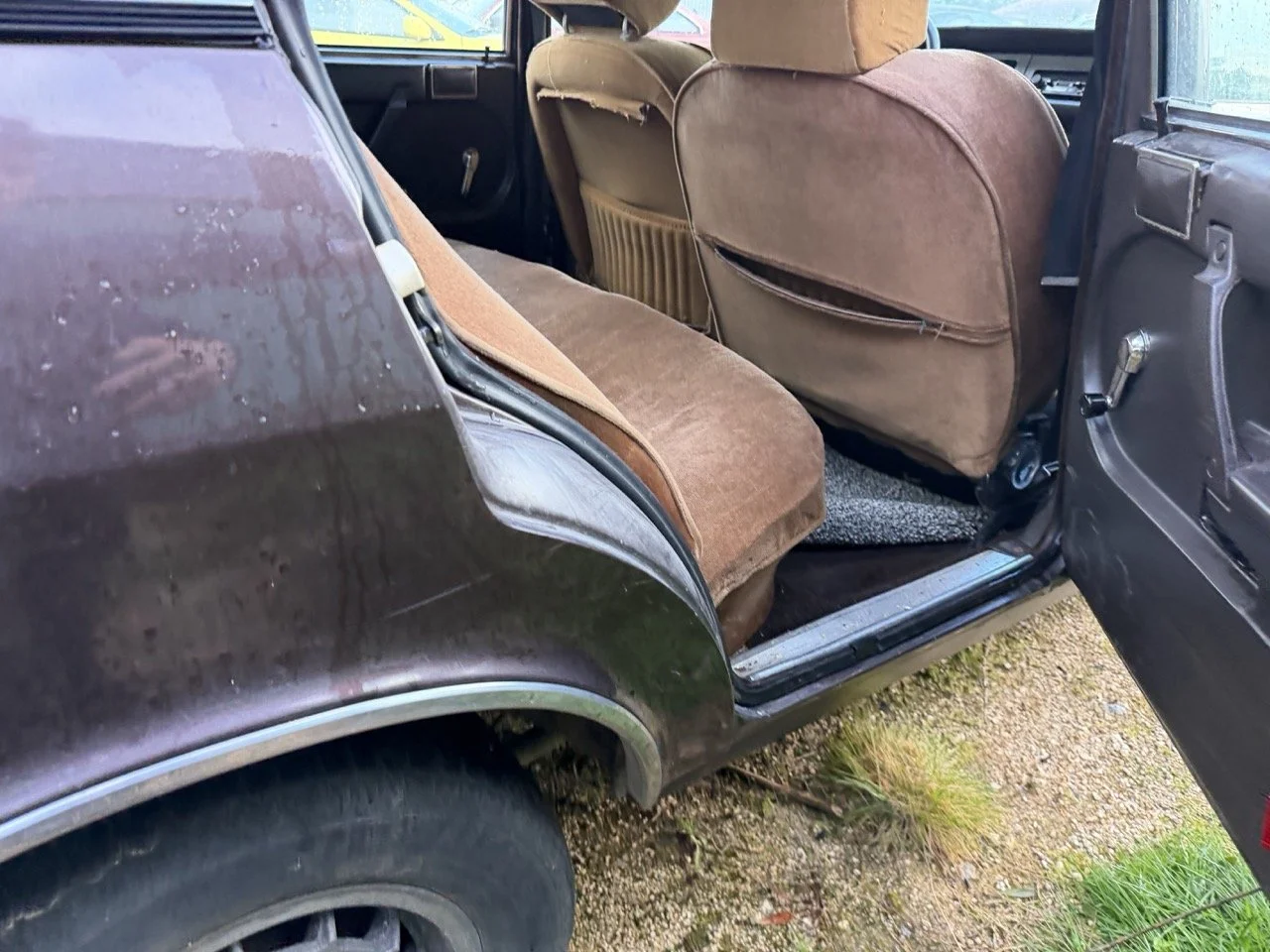 IMG_5274 – grande.jpeg