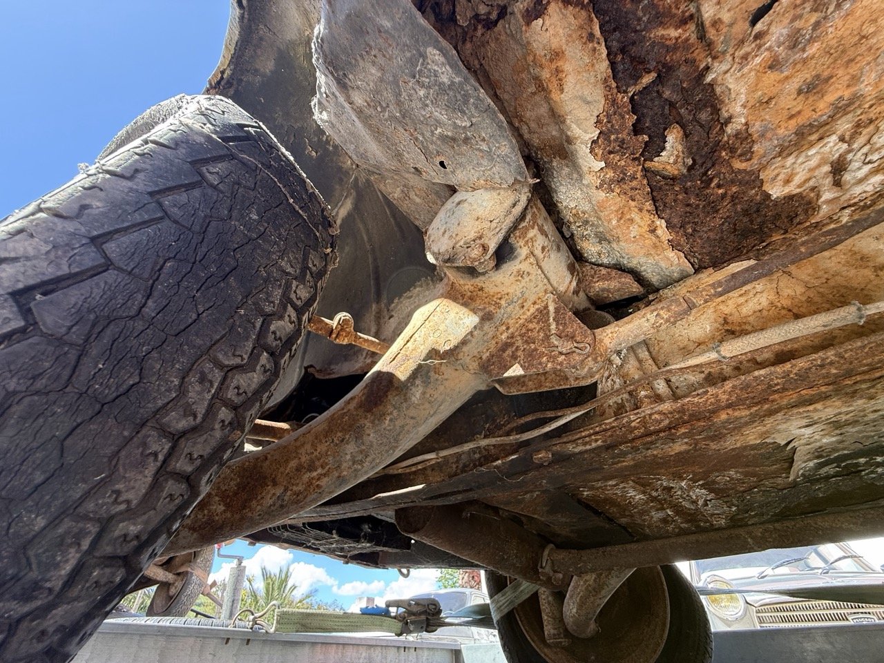 IMG_9123 – grande.jpeg