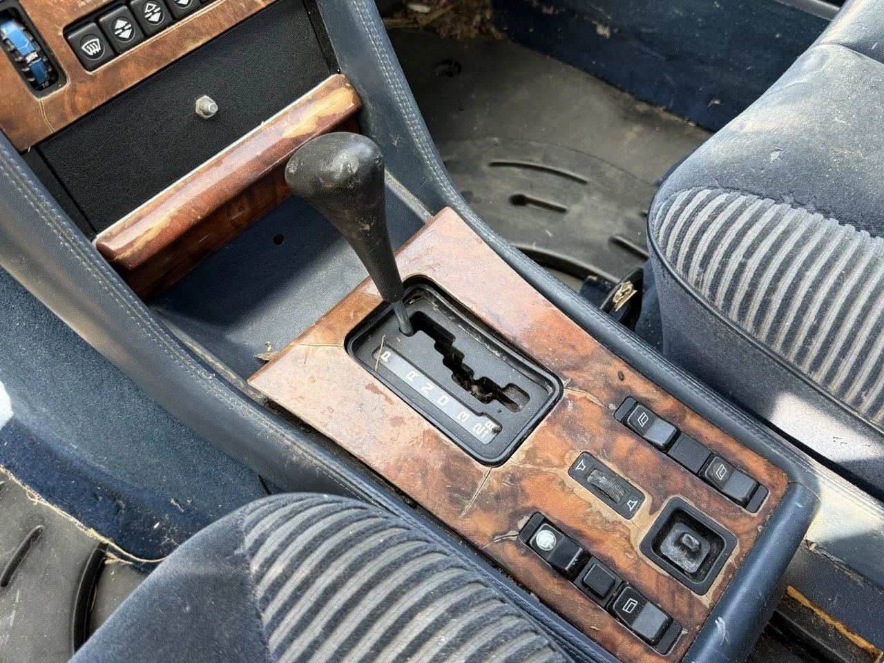 IMG_3428 – grande.jpeg