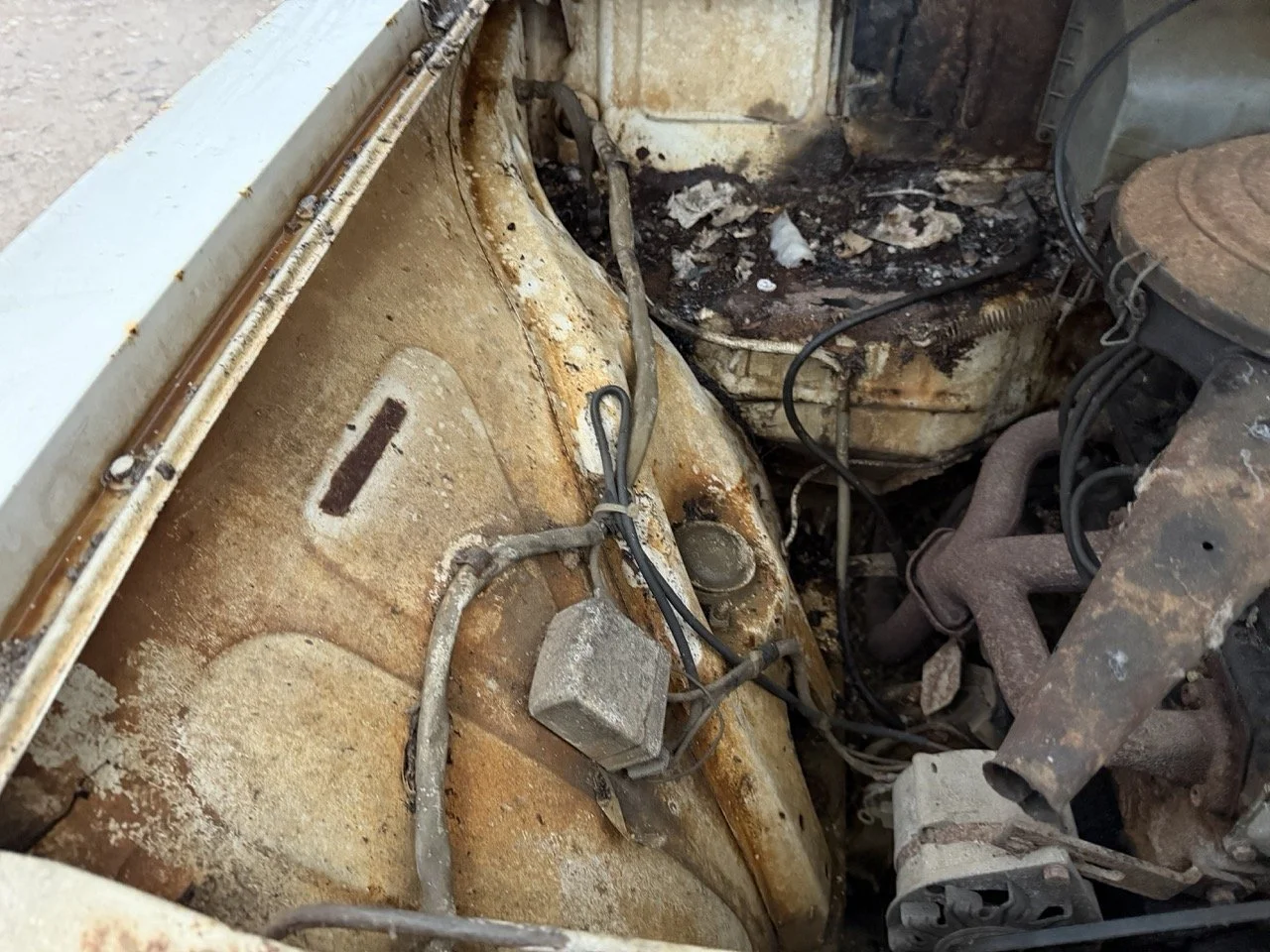 IMG_0158 – grande.jpeg