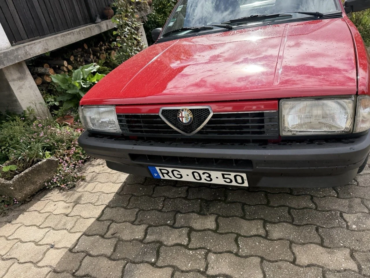 IMG_3293 – grande.jpeg