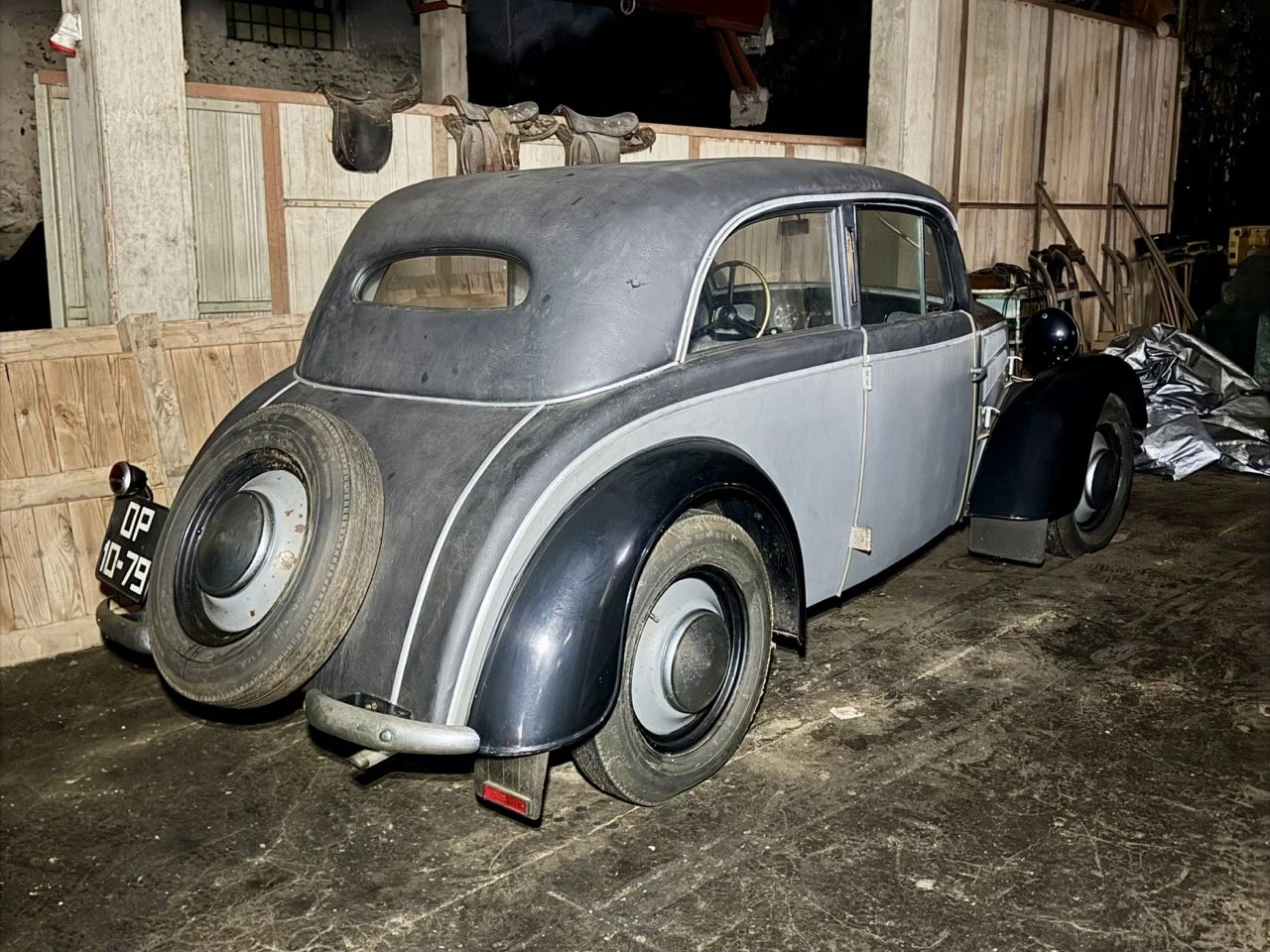 IMG_3851 – grande.jpeg